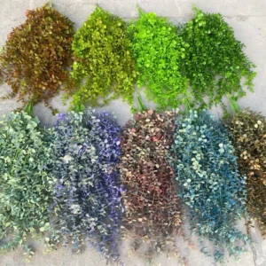 RỦ TÁO DÀI