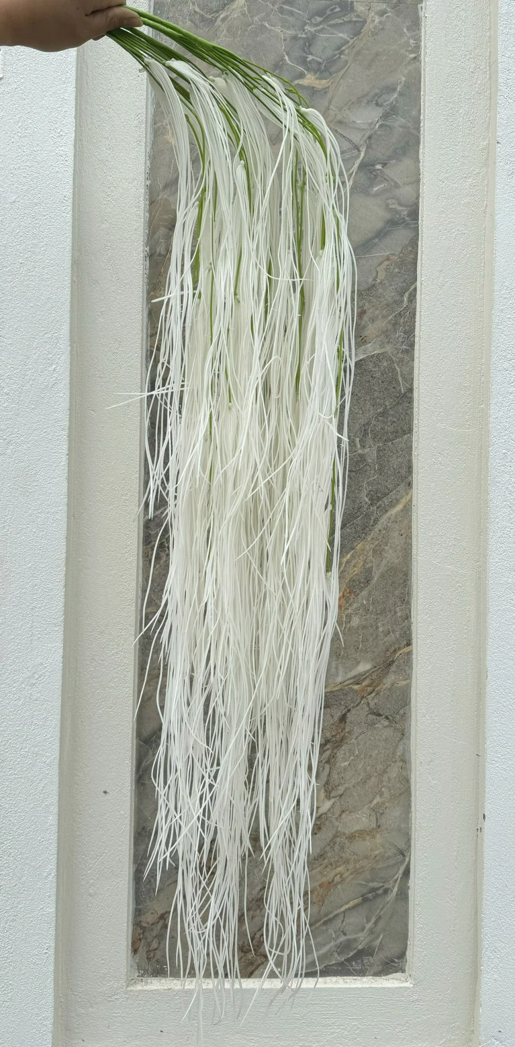 RỦ TƠ HỒNG LOẠI 1