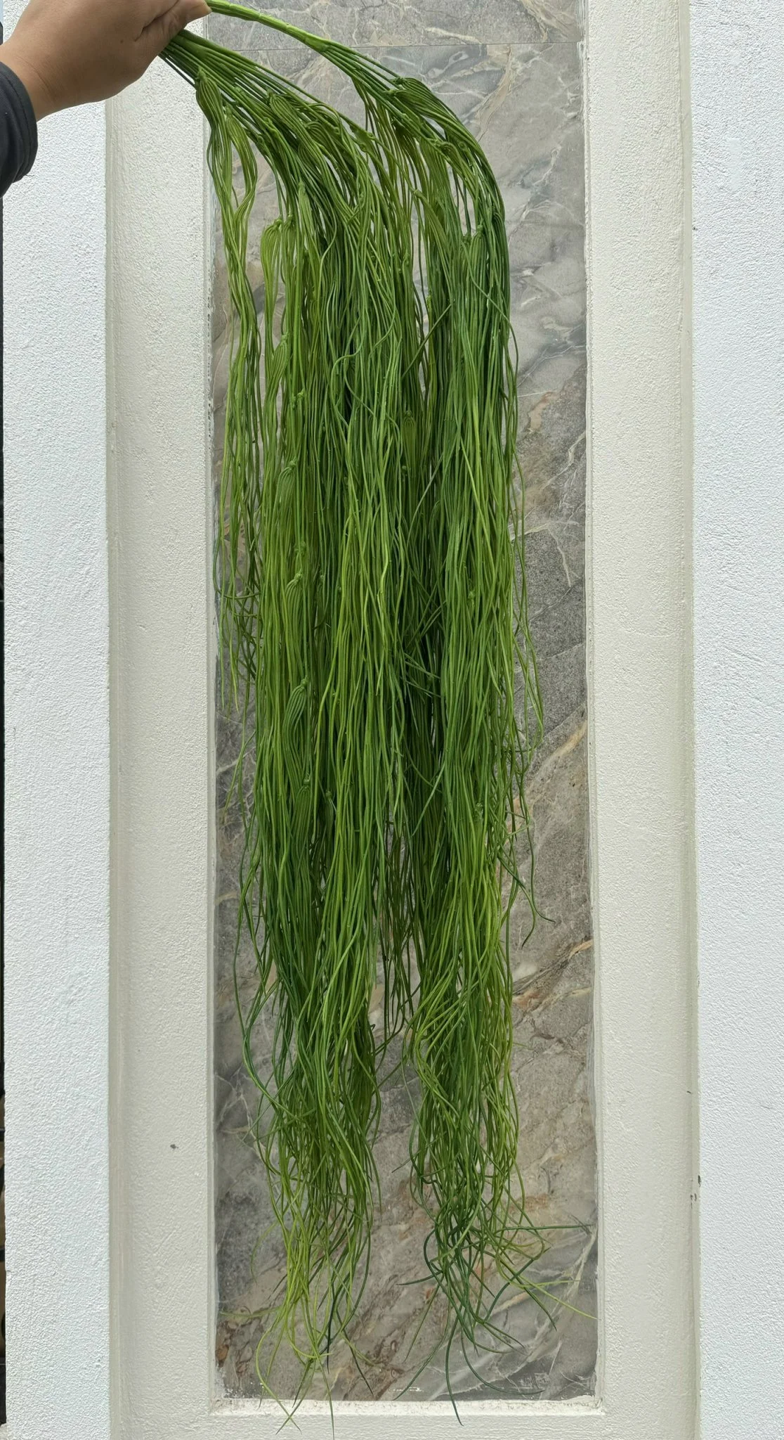 RỦ TƠ HỒNG LOẠI 1 - Ảnh 4