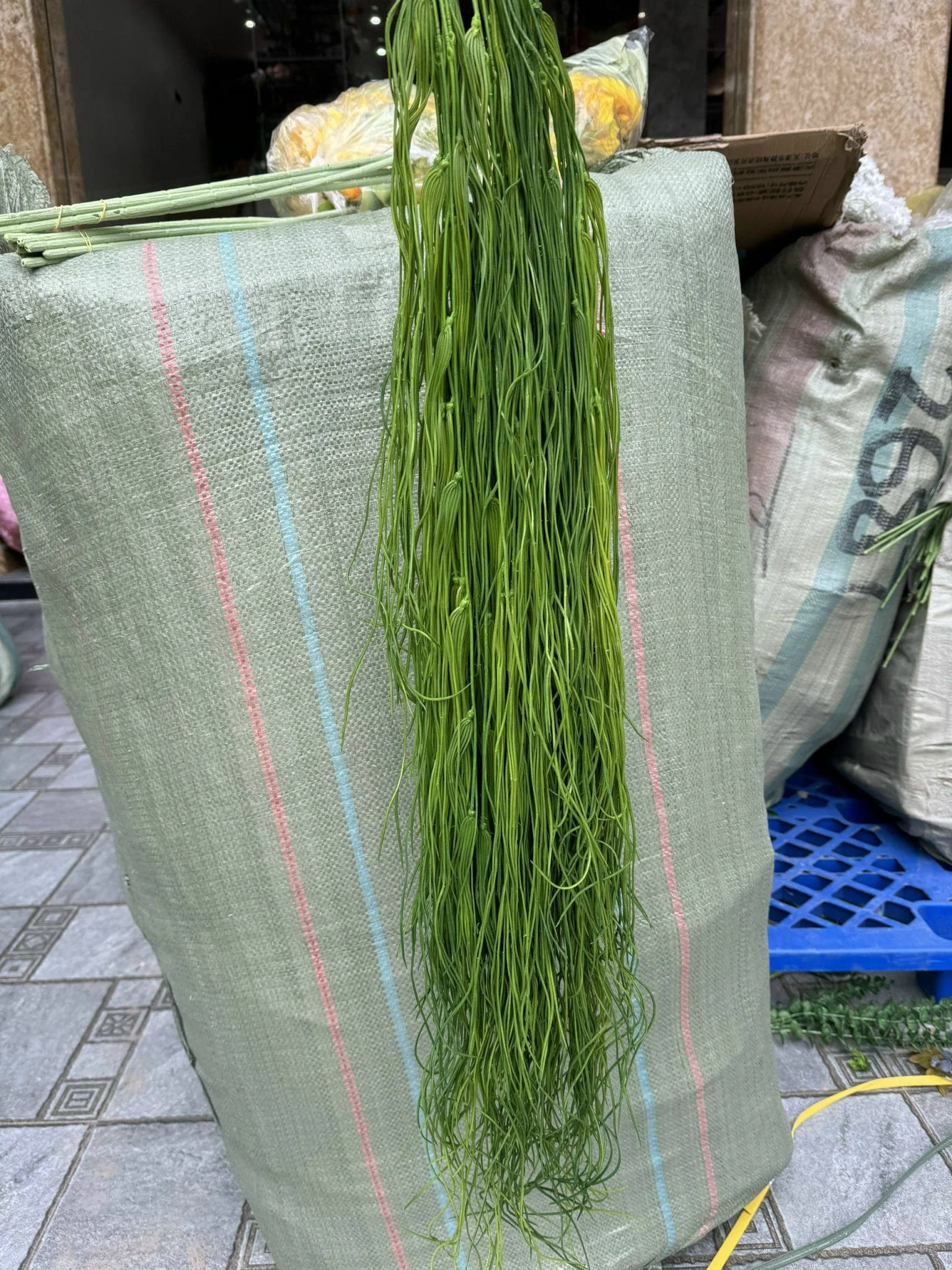 RỦ TƠ HỒNG LOẠI 1 - Ảnh 10
