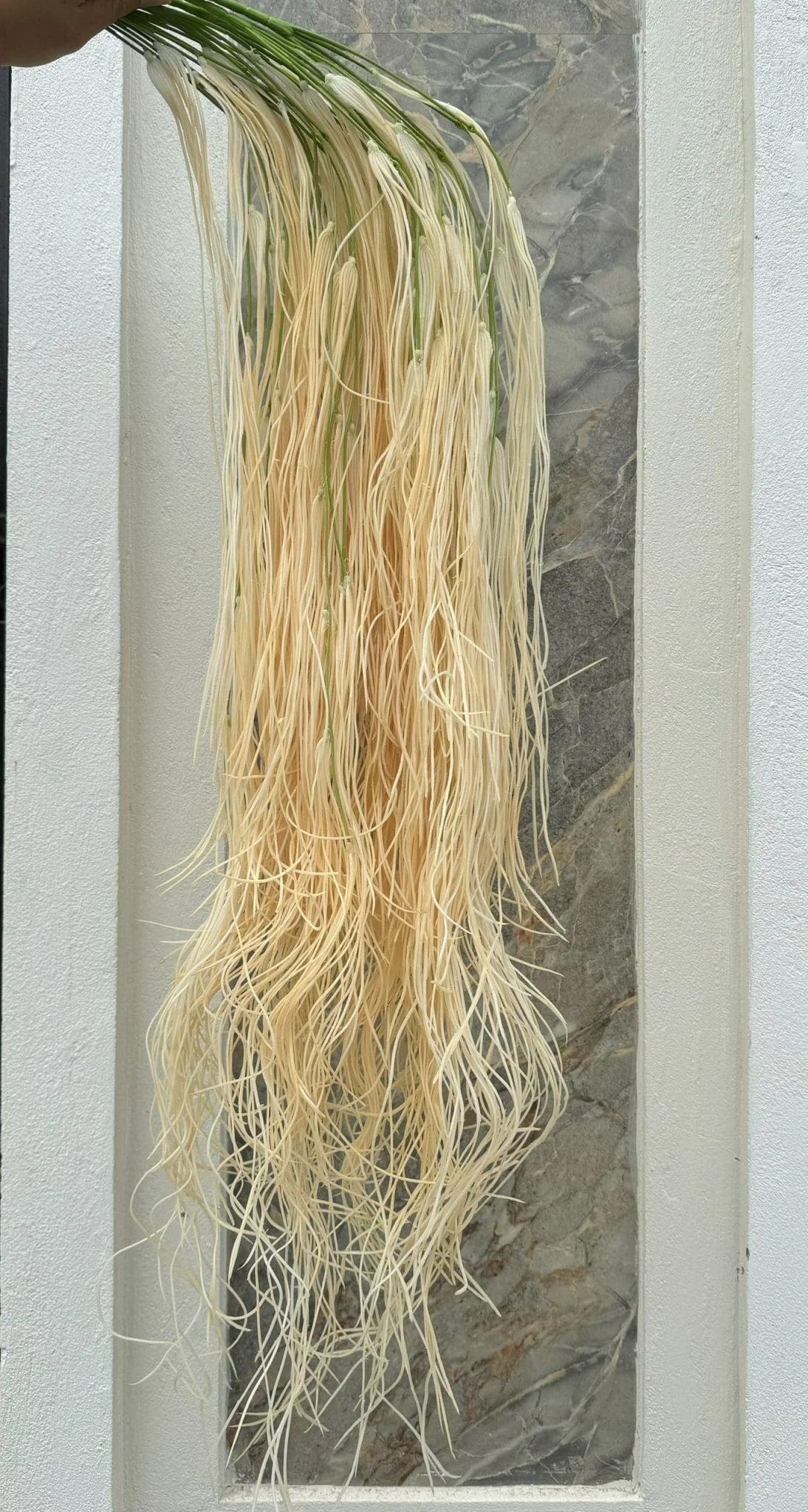 RỦ TƠ HỒNG LOẠI 1 - Ảnh 5