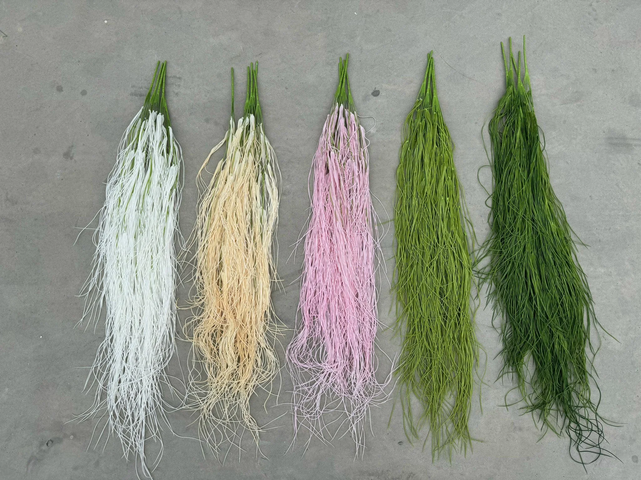 RỦ TƠ HỒNG LOẠI 1 - Ảnh 9