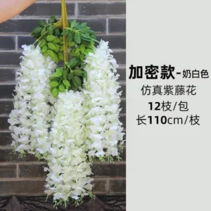 RỦ TỬ ĐẰNG BÓ 12 CÀNH