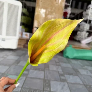 RUM LOẠI 2