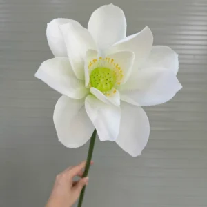 SEN PU
