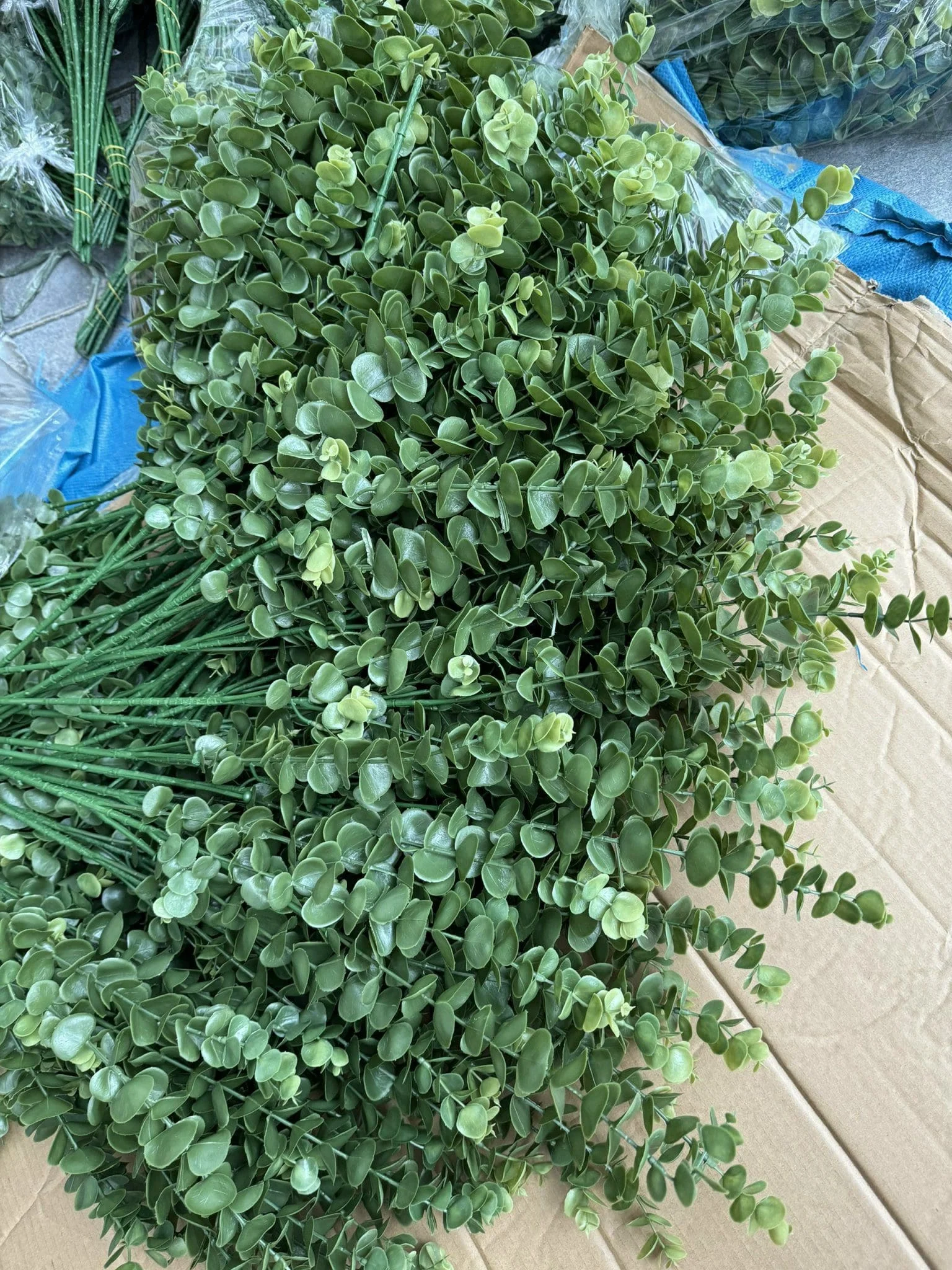TÁO CAO SU LOAI 1 - Ảnh 4