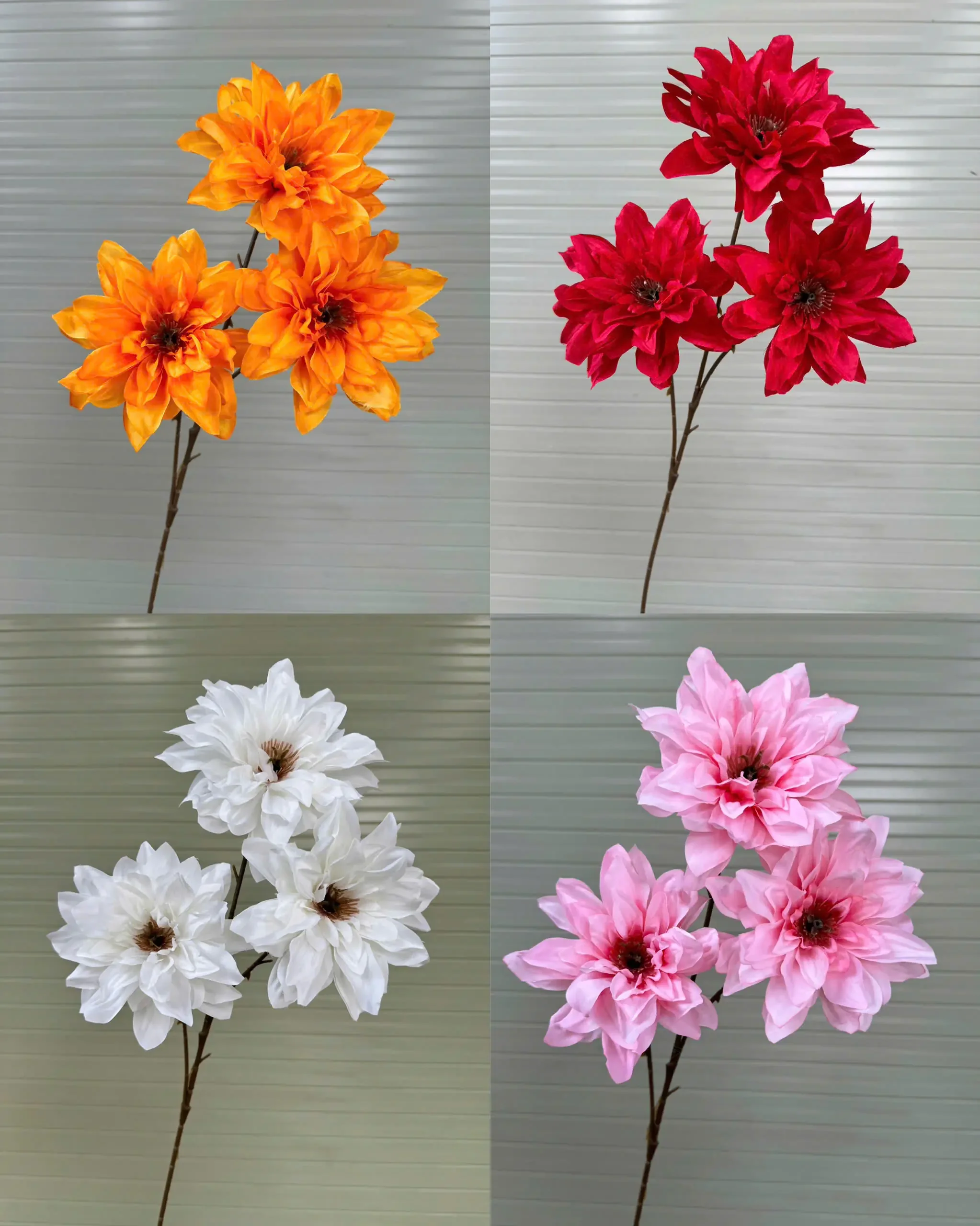 THƯỢC DƯỢC NỮ HOÀNG VIỆT NAM - Ảnh 18