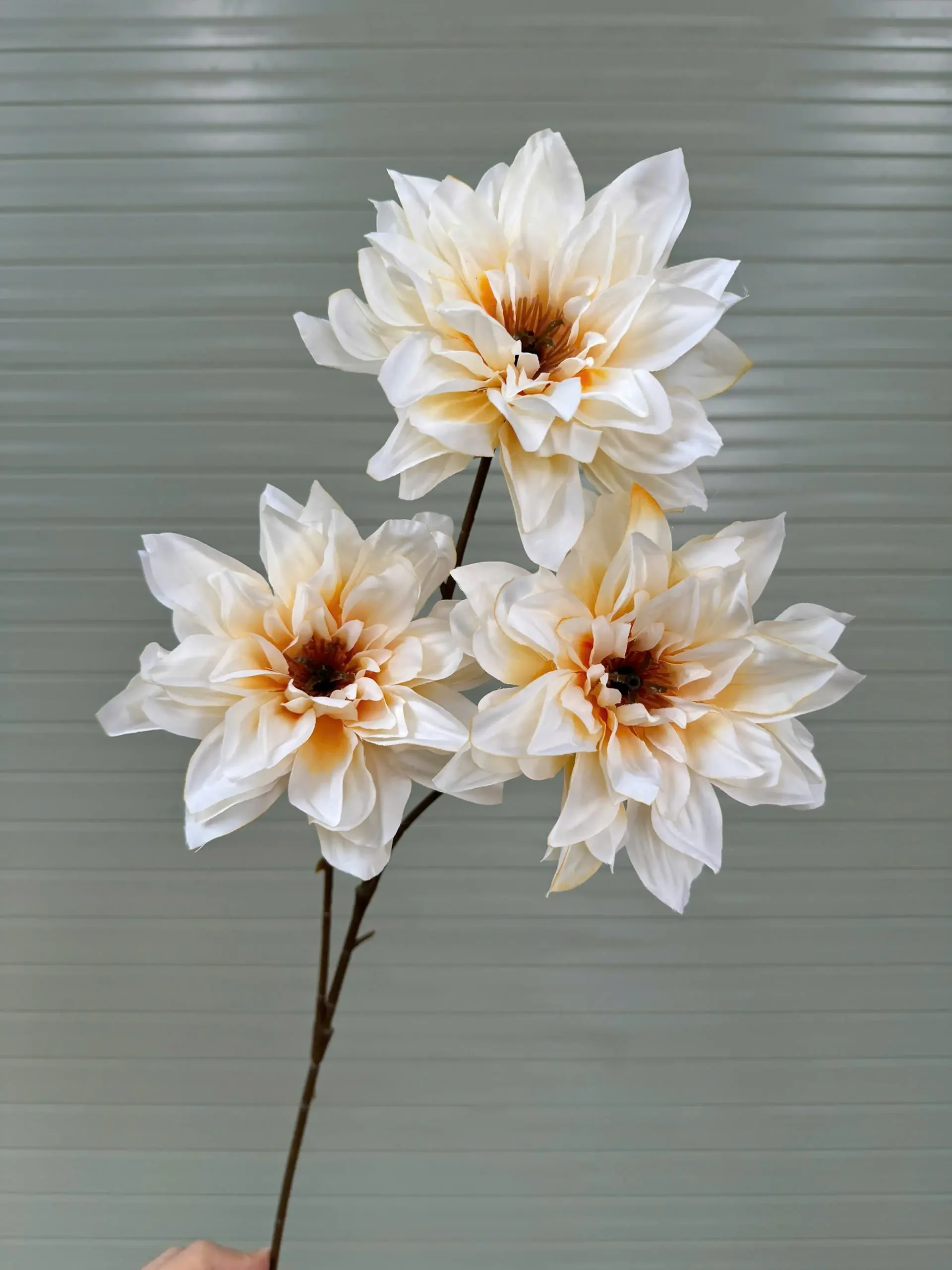 THƯỢC DƯỢC NỮ HOÀNG VIỆT NAM - Ảnh 17