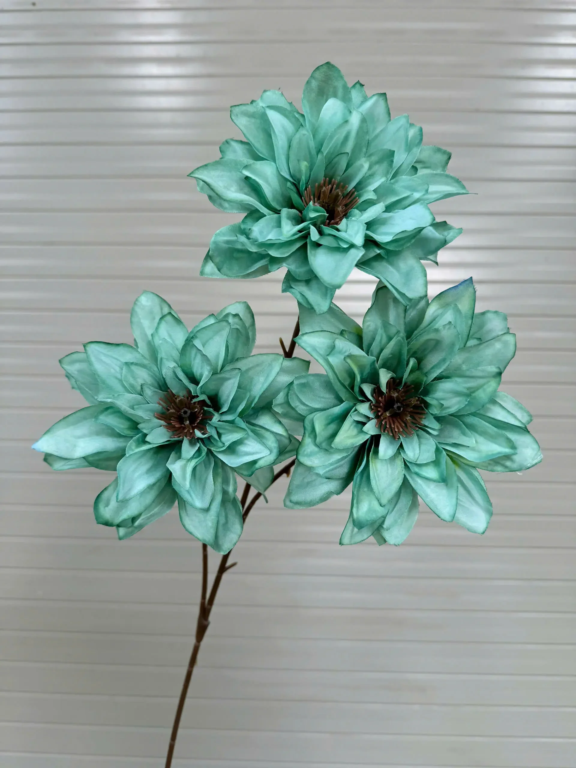 THƯỢC DƯỢC NỮ HOÀNG VIỆT NAM - Ảnh 11