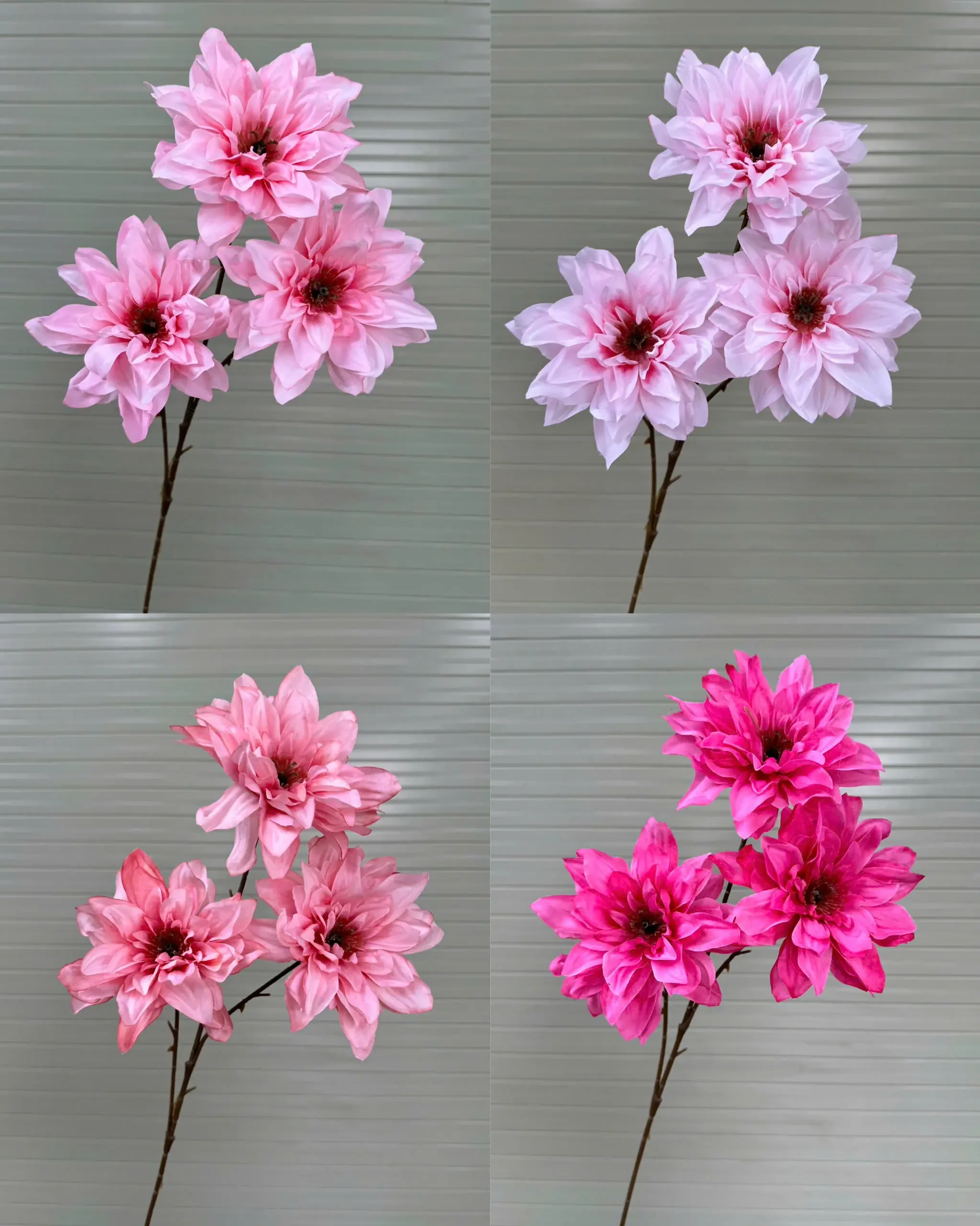 THƯỢC DƯỢC NỮ HOÀNG VIỆT NAM - Ảnh 19