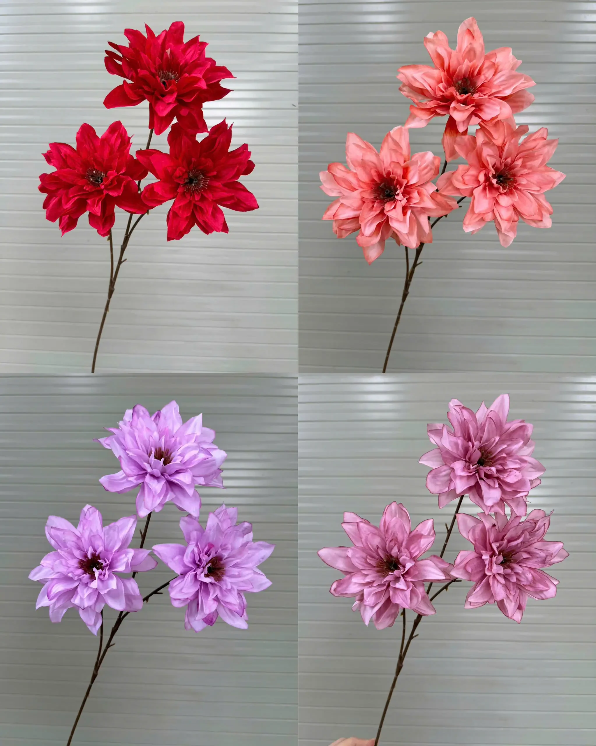 THƯỢC DƯỢC NỮ HOÀNG VIỆT NAM - Ảnh 15