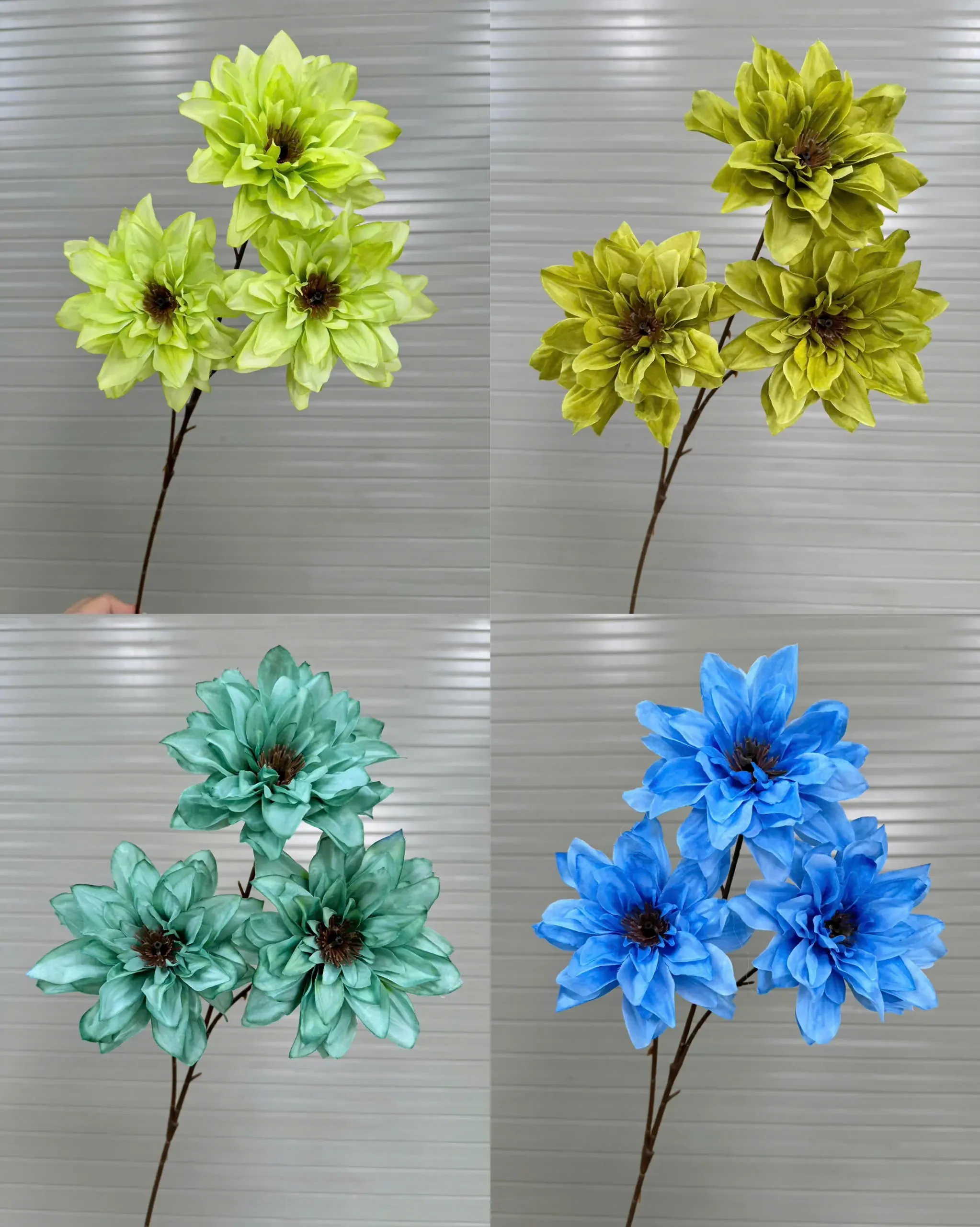 THƯỢC DƯỢC NỮ HOÀNG VIỆT NAM - Ảnh 5