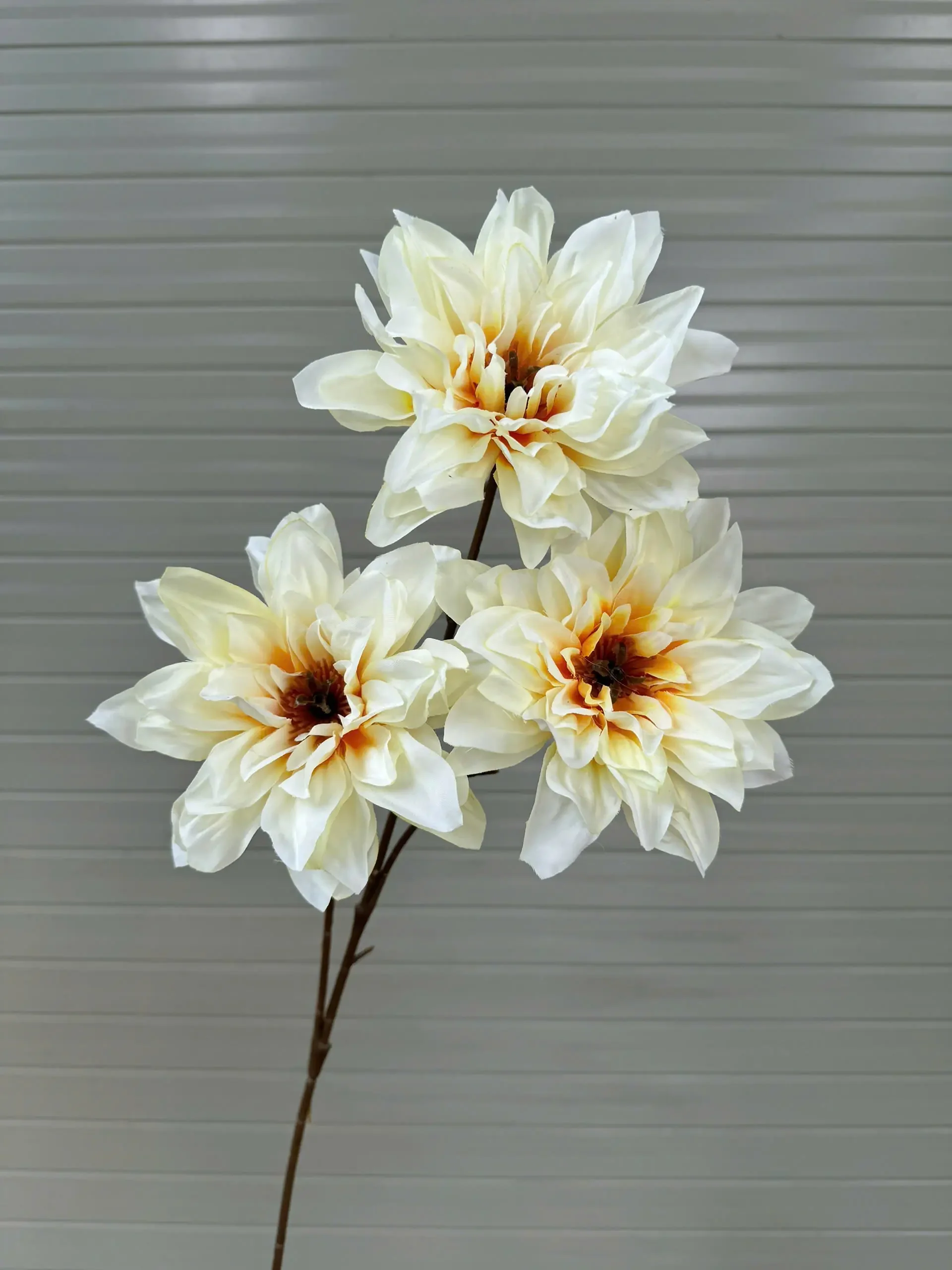 THƯỢC DƯỢC NỮ HOÀNG VIỆT NAM - Ảnh 16