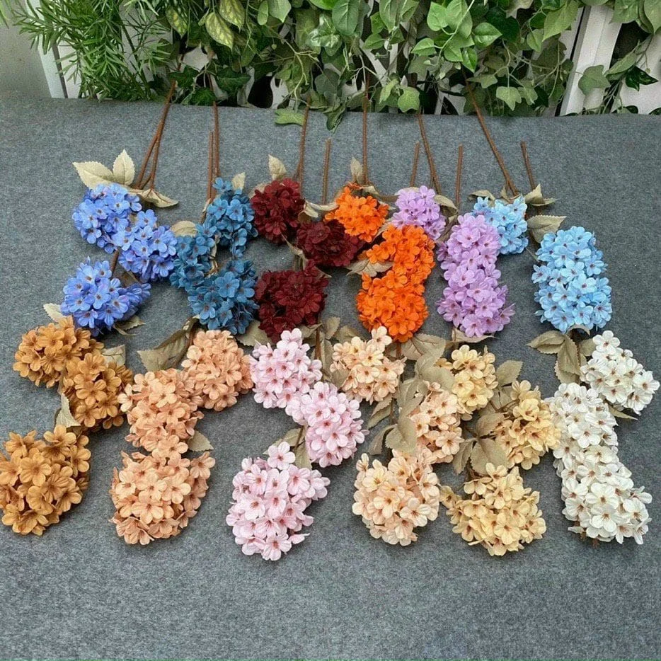 TIỂU TÚ CẦU - Ảnh 9