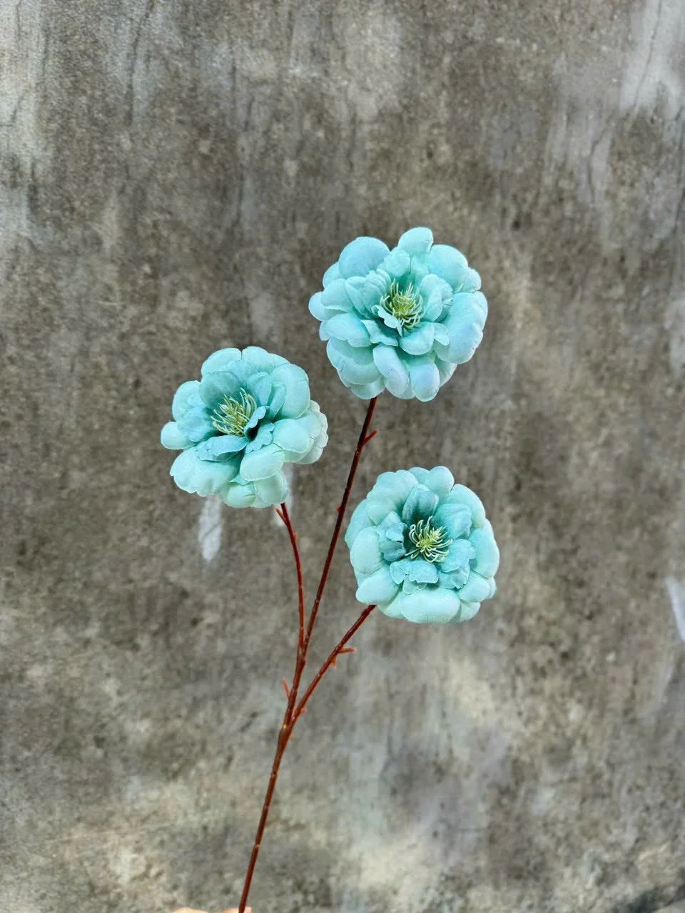 TRÀ NGỌC 3B - Ảnh 2