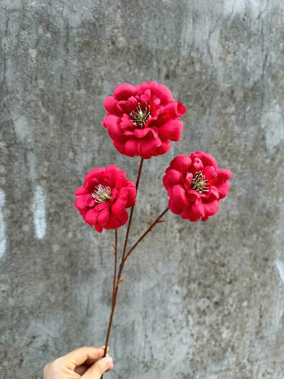TRÀ NGỌC 3B - Ảnh 9