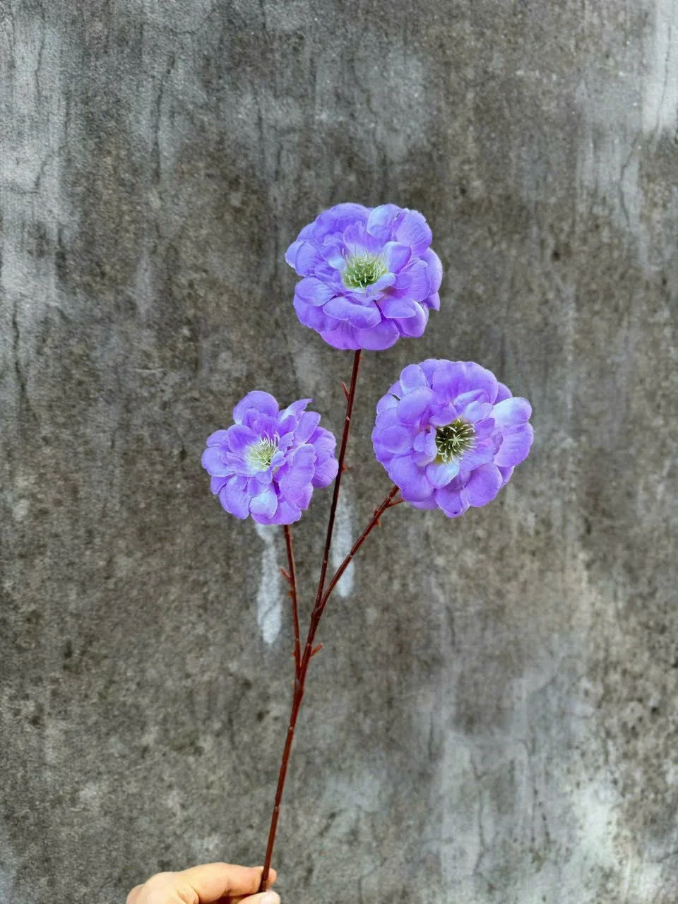 TRÀ NGỌC 3B - Ảnh 12