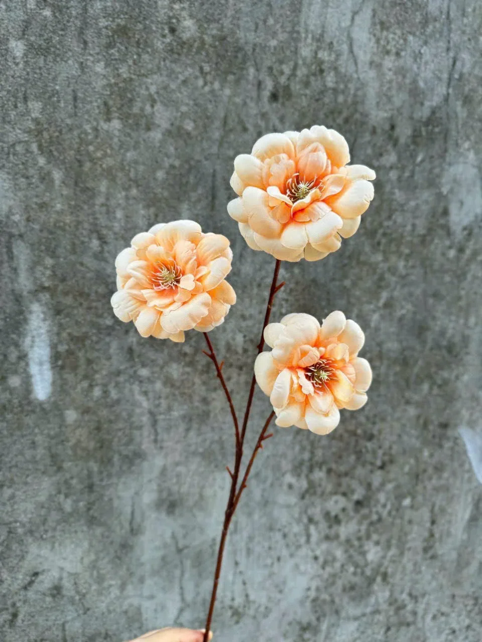 TRÀ NGỌC 3B - Ảnh 14