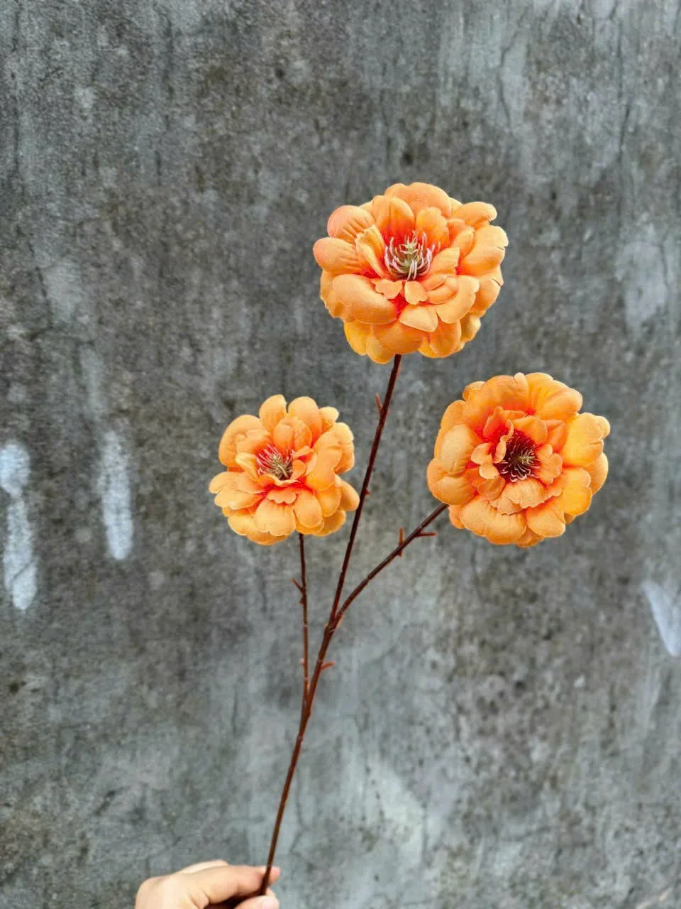 TRÀ NGỌC 3B - Ảnh 15