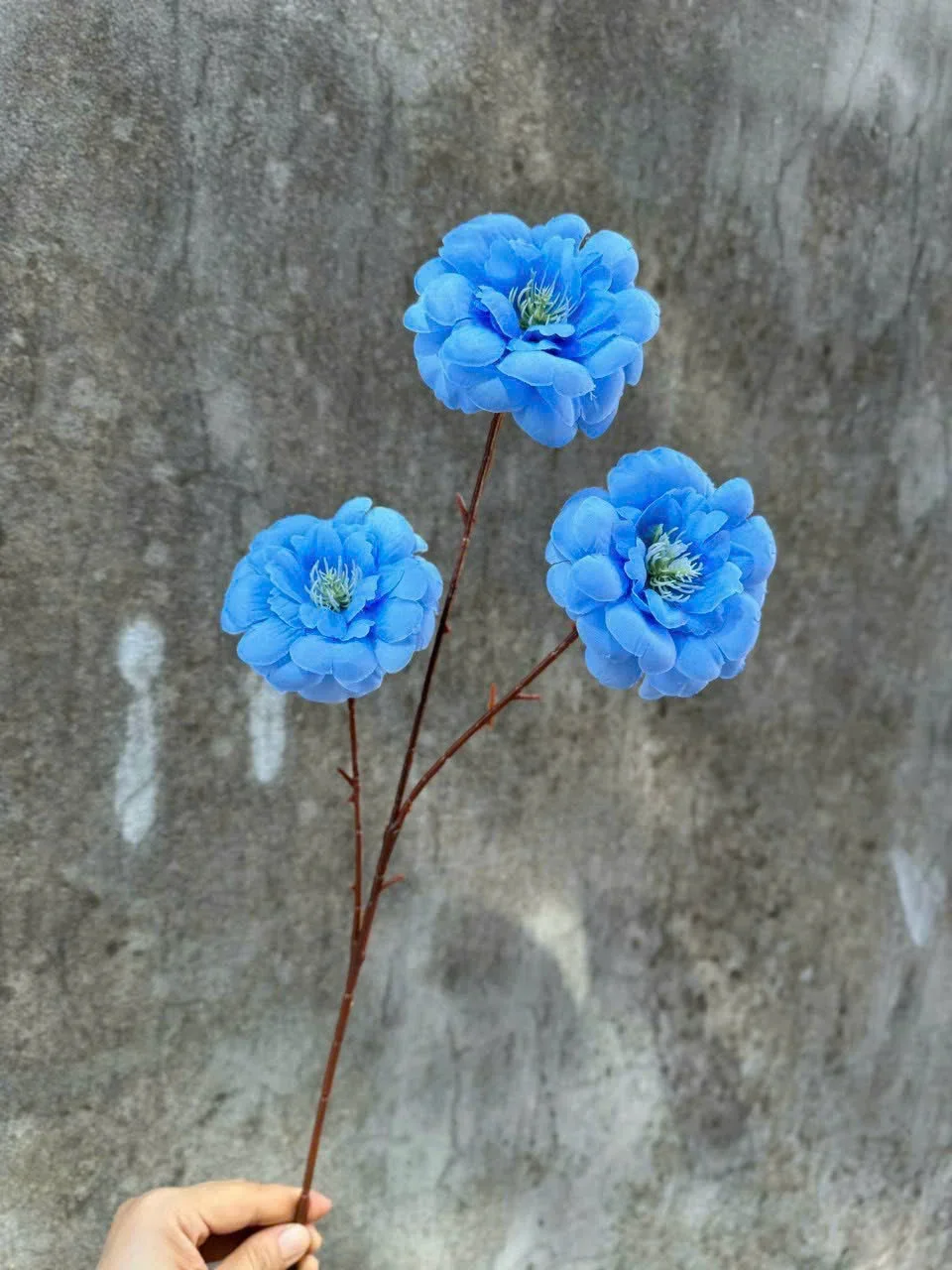TRÀ NGỌC 3B - Ảnh 7