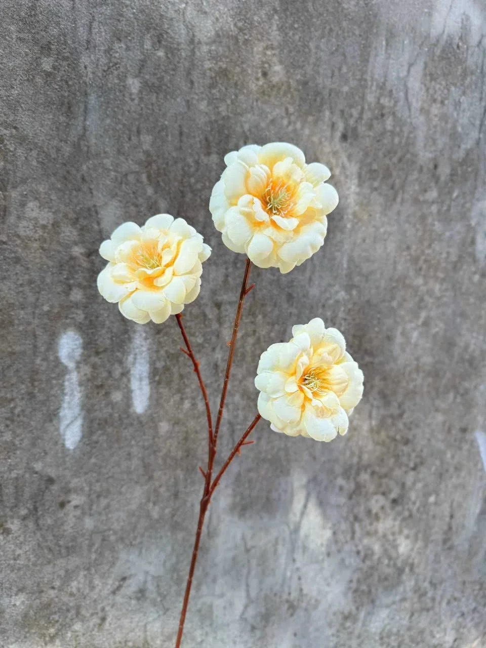 TRÀ NGỌC 3B - Ảnh 18