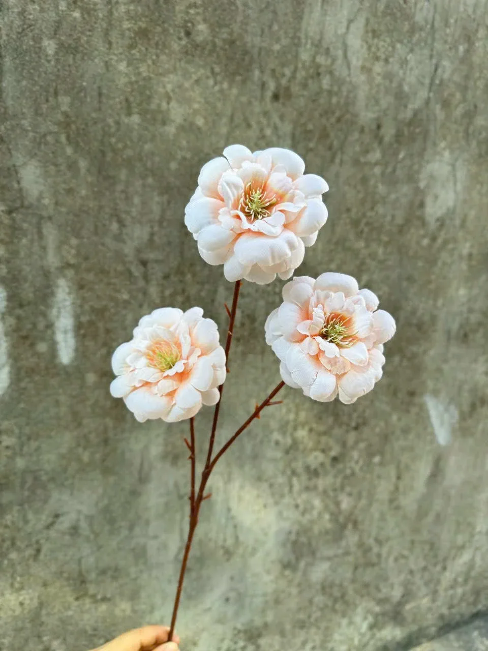 TRÀ NGỌC 3B - Ảnh 11
