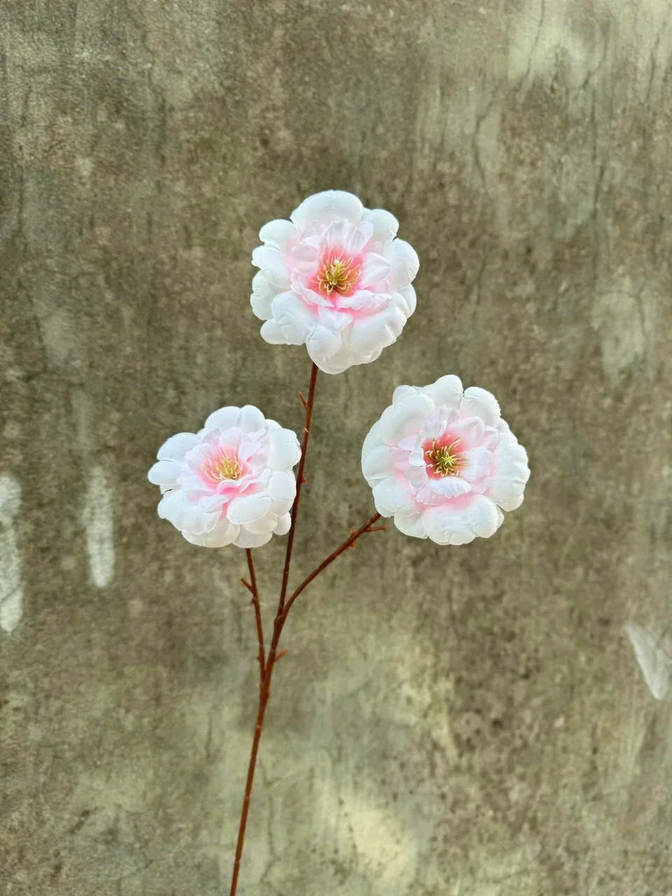 TRÀ NGỌC 3B - Ảnh 17