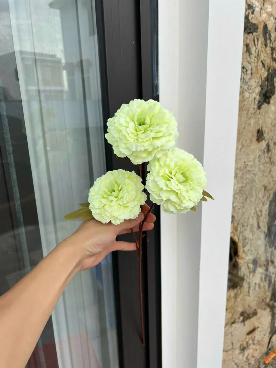 TRÀ XOĂN 3B HÀNG VN - Ảnh 10