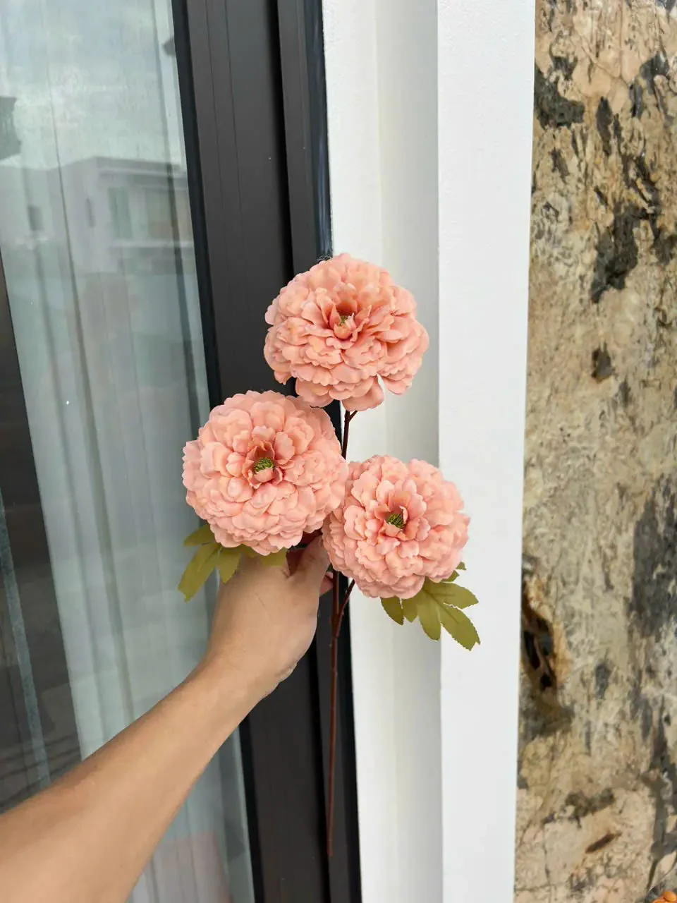 TRÀ XOĂN 3B HÀNG VN - Ảnh 12