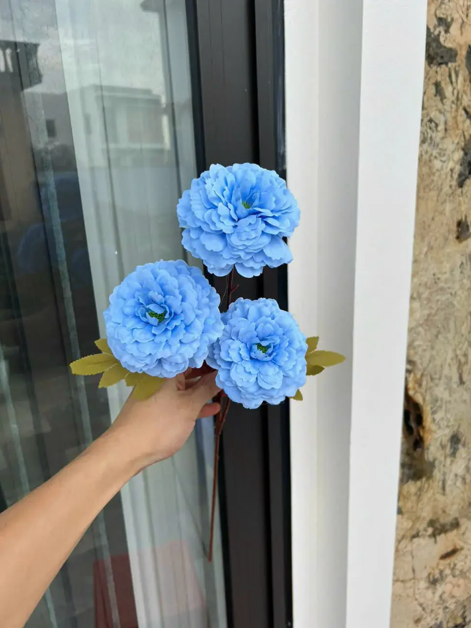 TRÀ XOĂN 3B HÀNG VN - Ảnh 8
