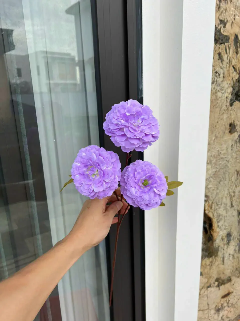 TRÀ XOĂN 3B HÀNG VN - Ảnh 9