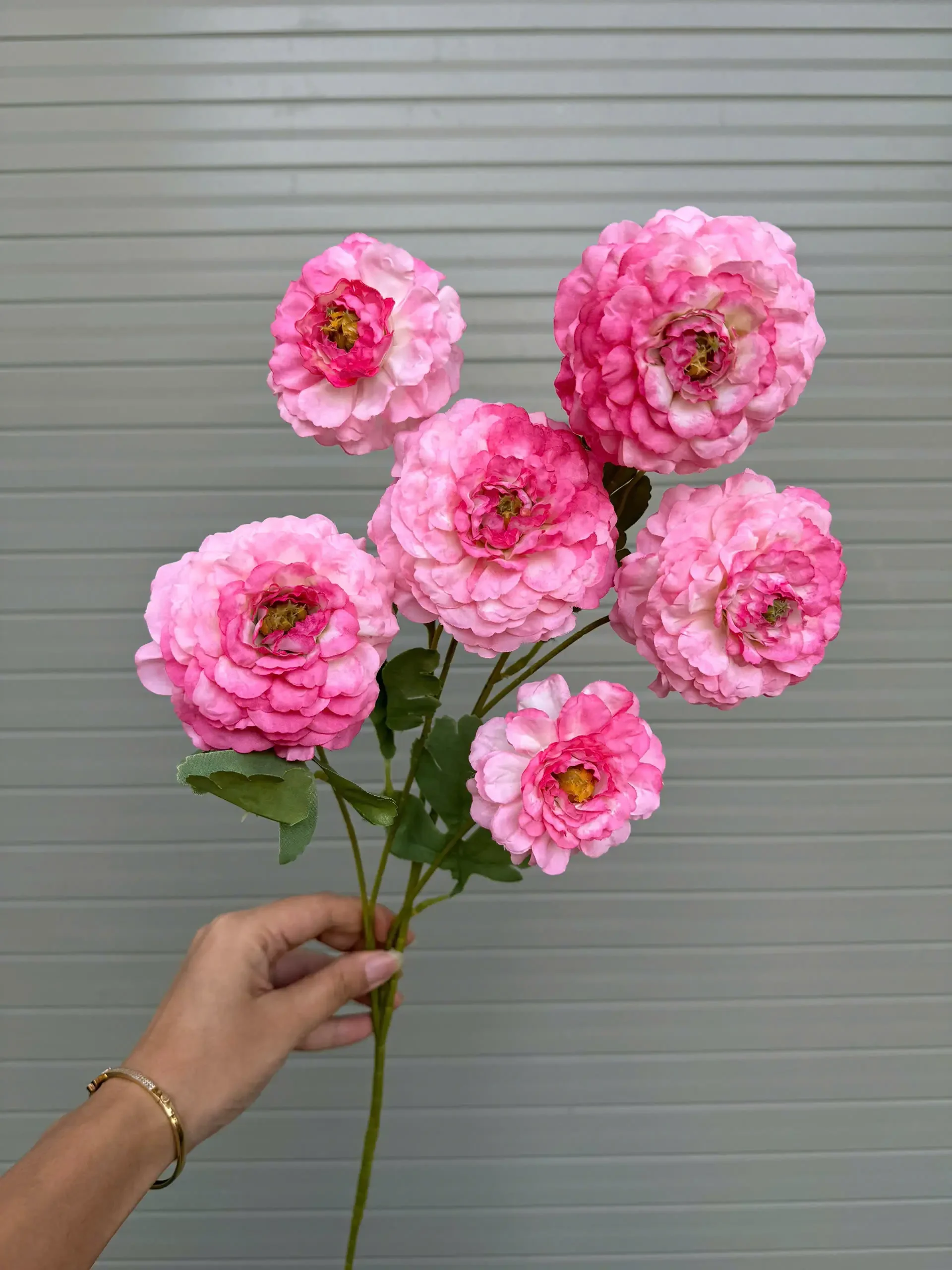 TRÀ XOĂN 6 BÔNG KHÔNG LÁ - Ảnh 6