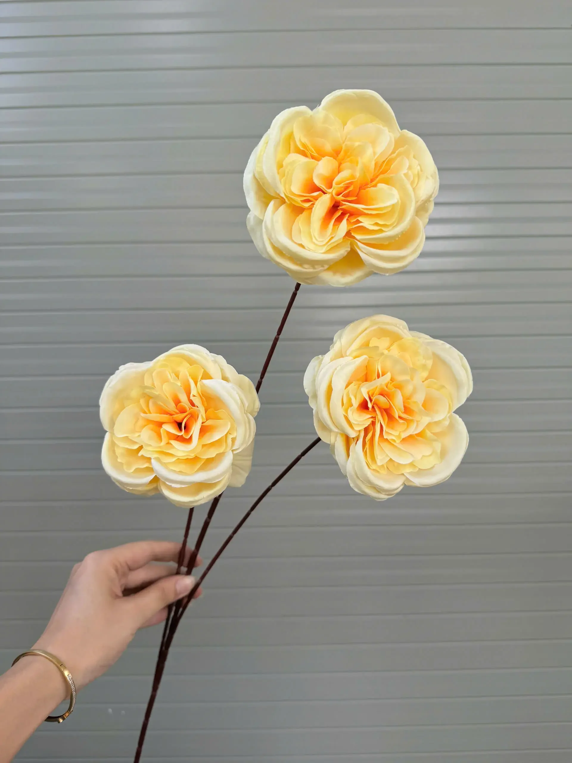 TRÀ XOĂN ĐẠI 3 BÔNG VN - Ảnh 6