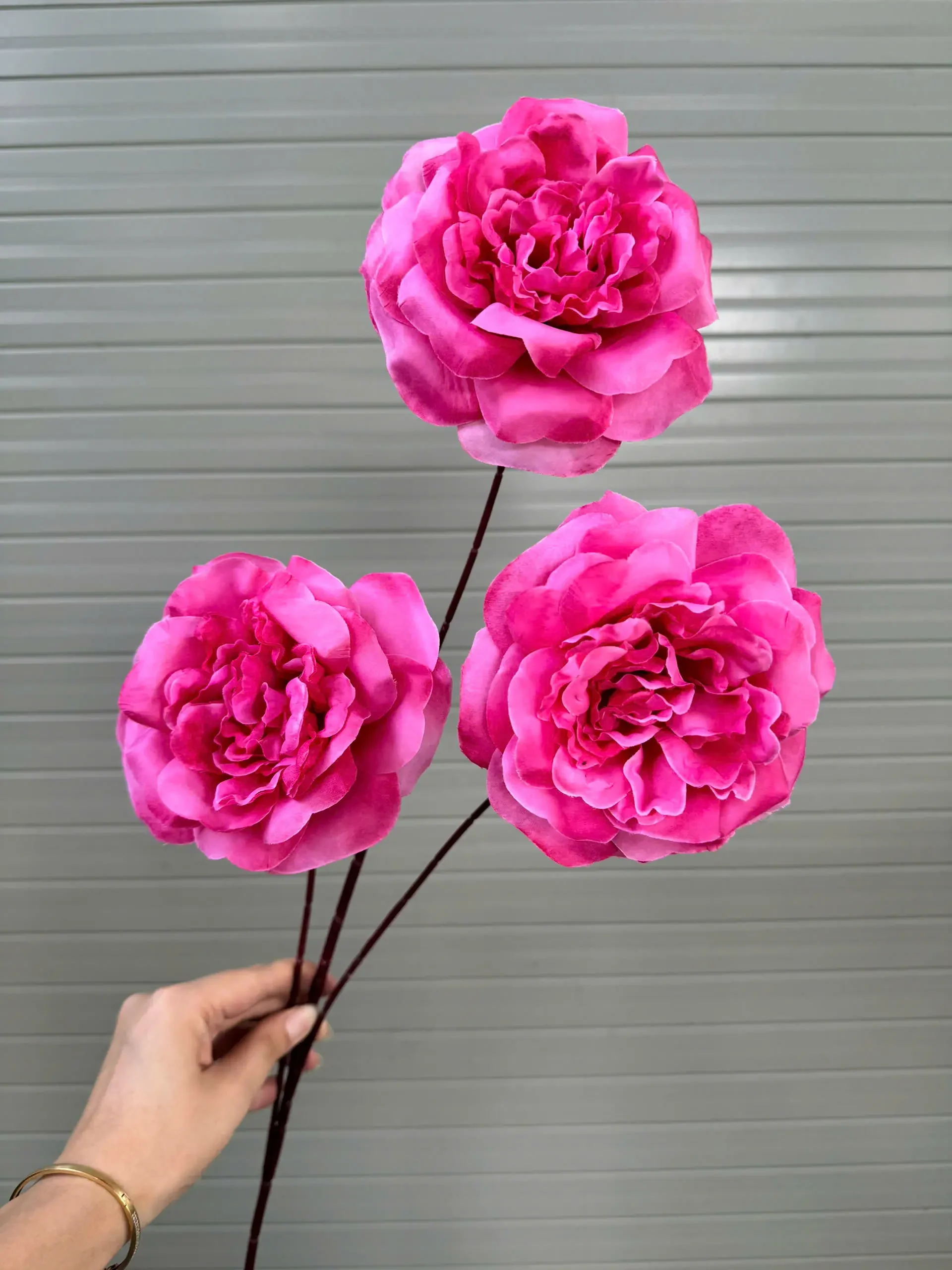 TRÀ XOĂN ĐẠI 3 BÔNG VN - Ảnh 3