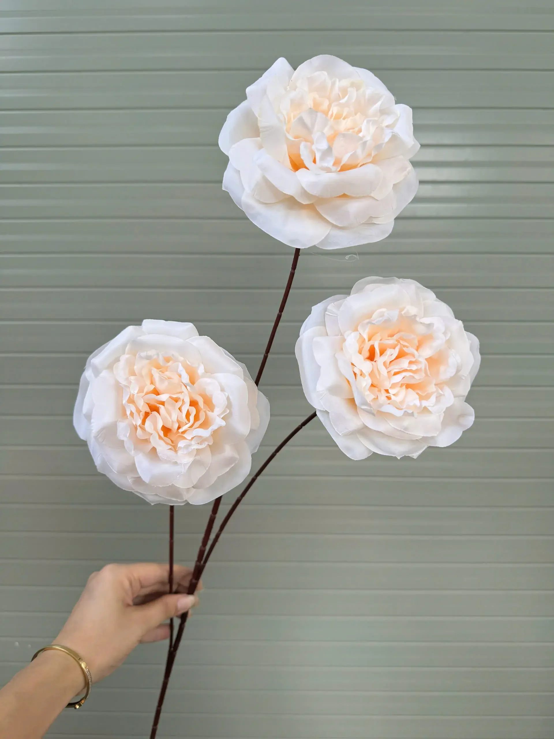 TRÀ XOĂN ĐẠI 3 BÔNG VN - Ảnh 5