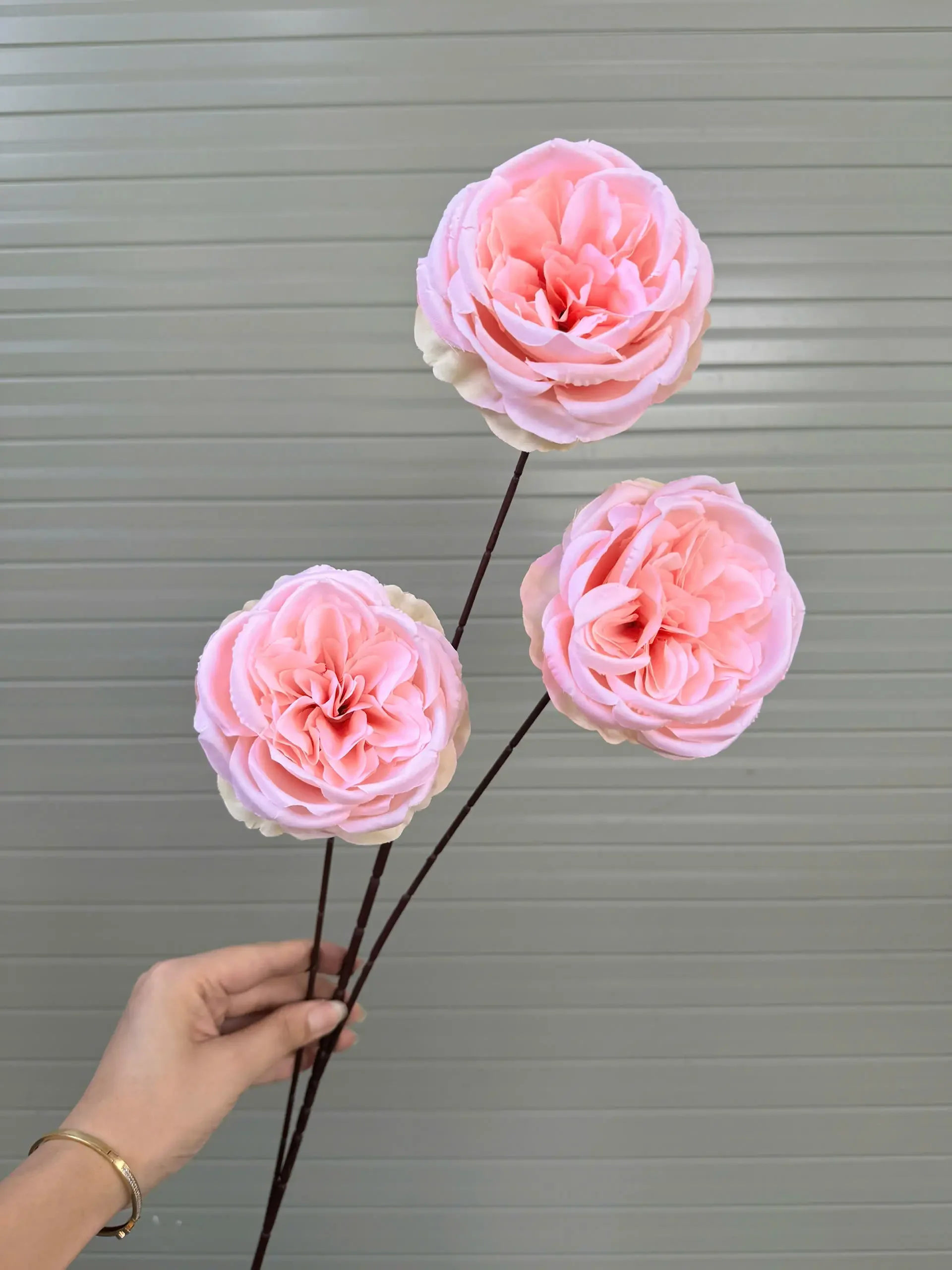 TRÀ XOĂN ĐẠI 3 BÔNG VN - Ảnh 2