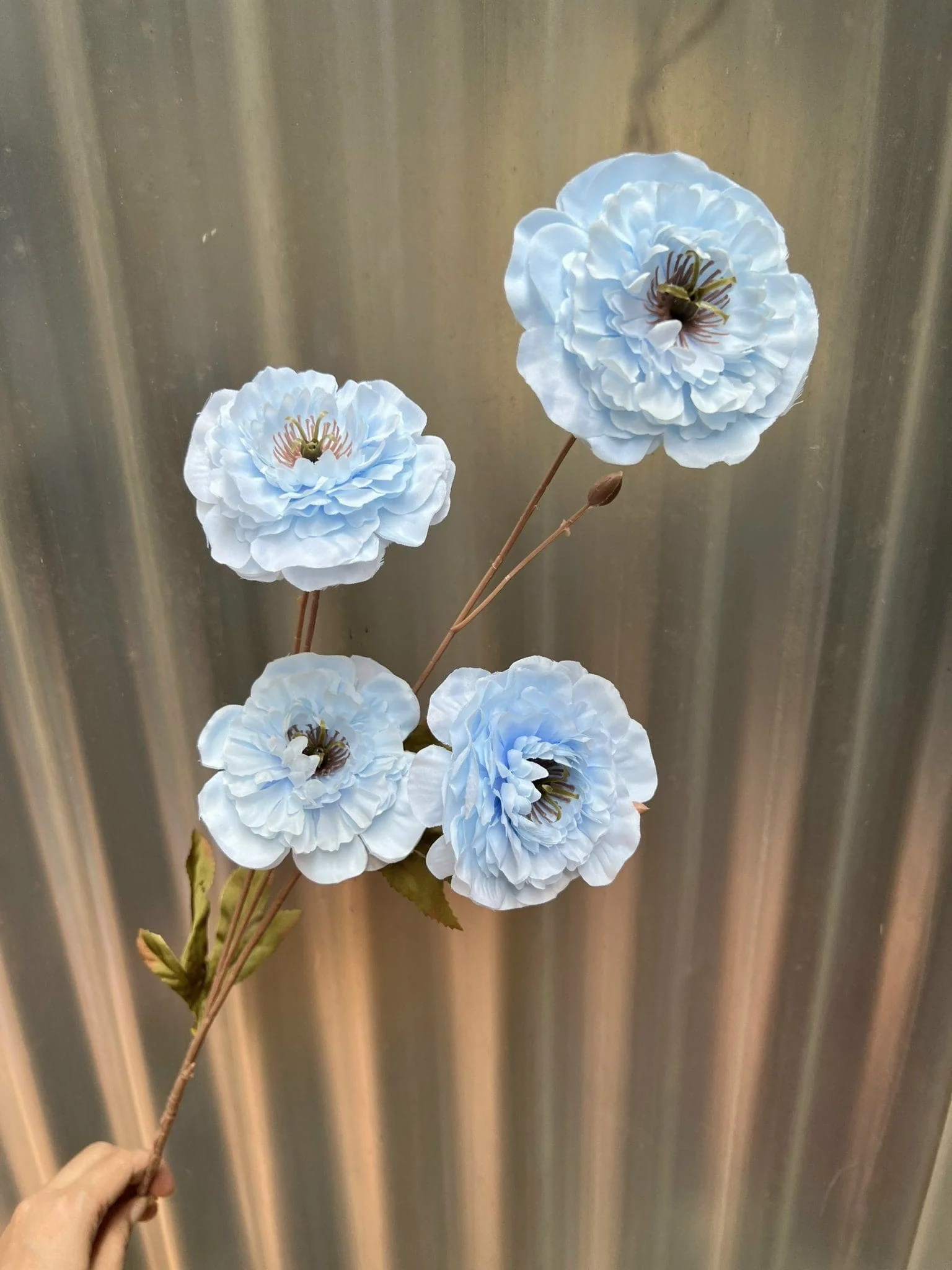 TRÀM 4 BÔNG - Ảnh 6