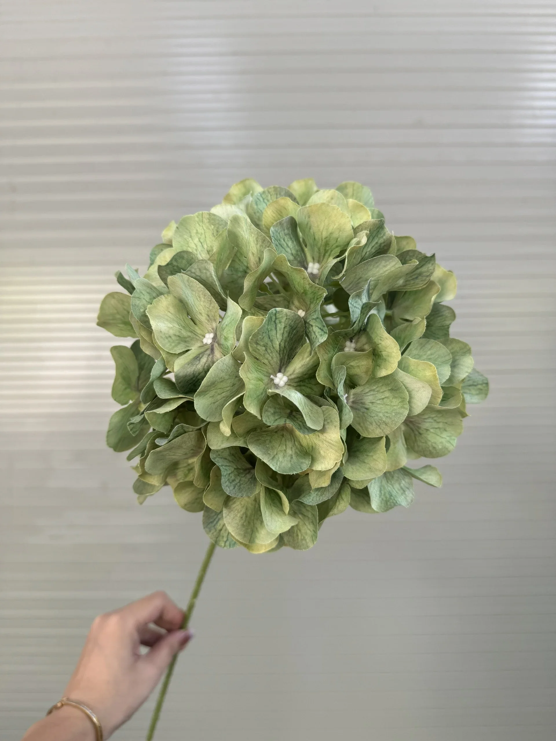 TÚ CẦU CÁNH BƯỚM TQ - Ảnh 6