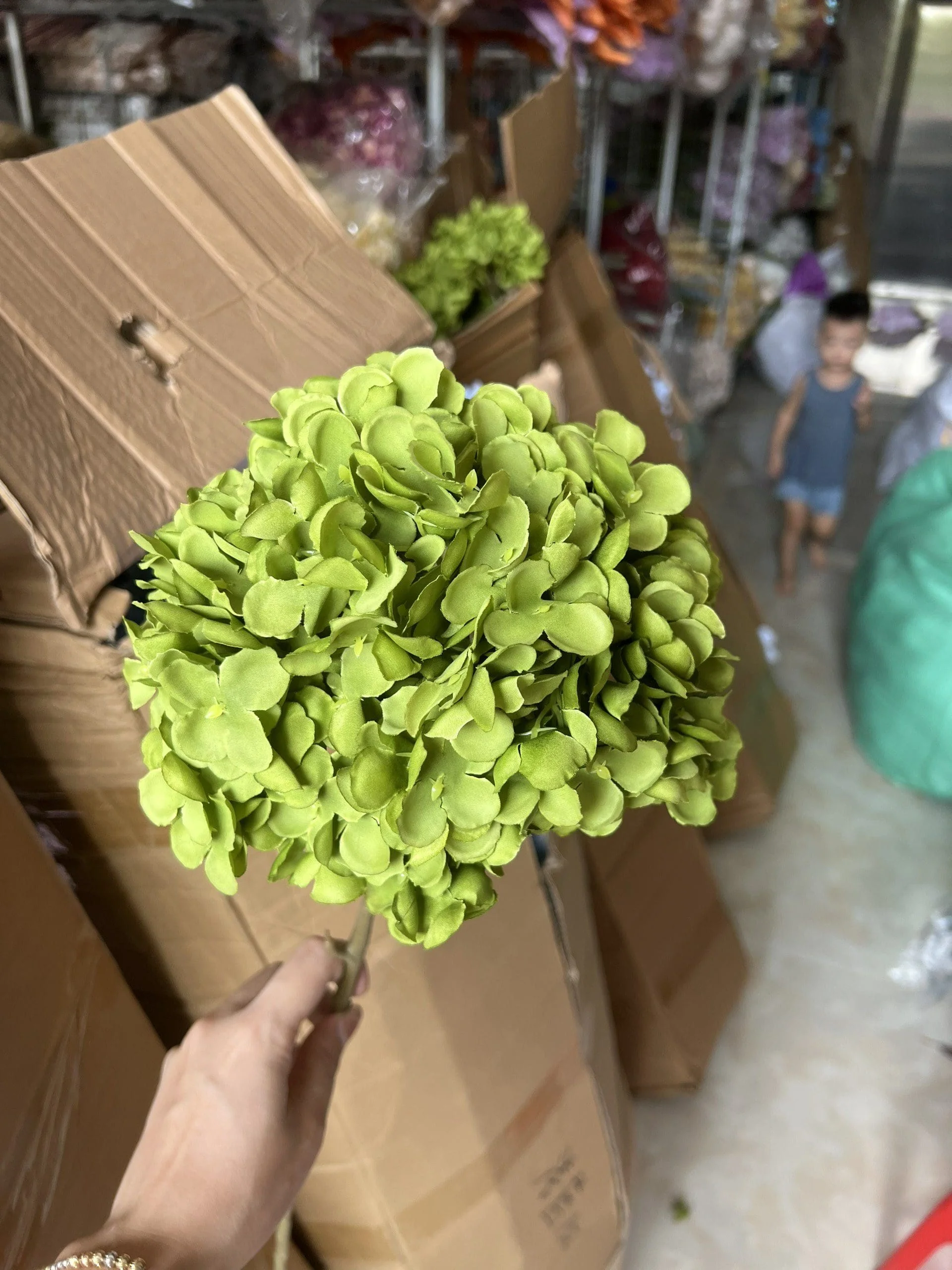 TÚ CẦU ĐẠI 1 BÔNG TQ