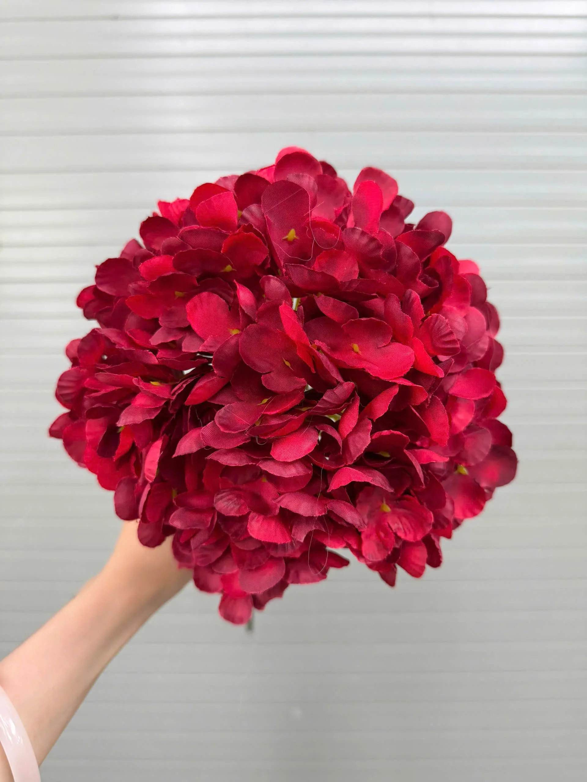 TÚ CẦU ĐẠI 1 BÔNG VN - Ảnh 17