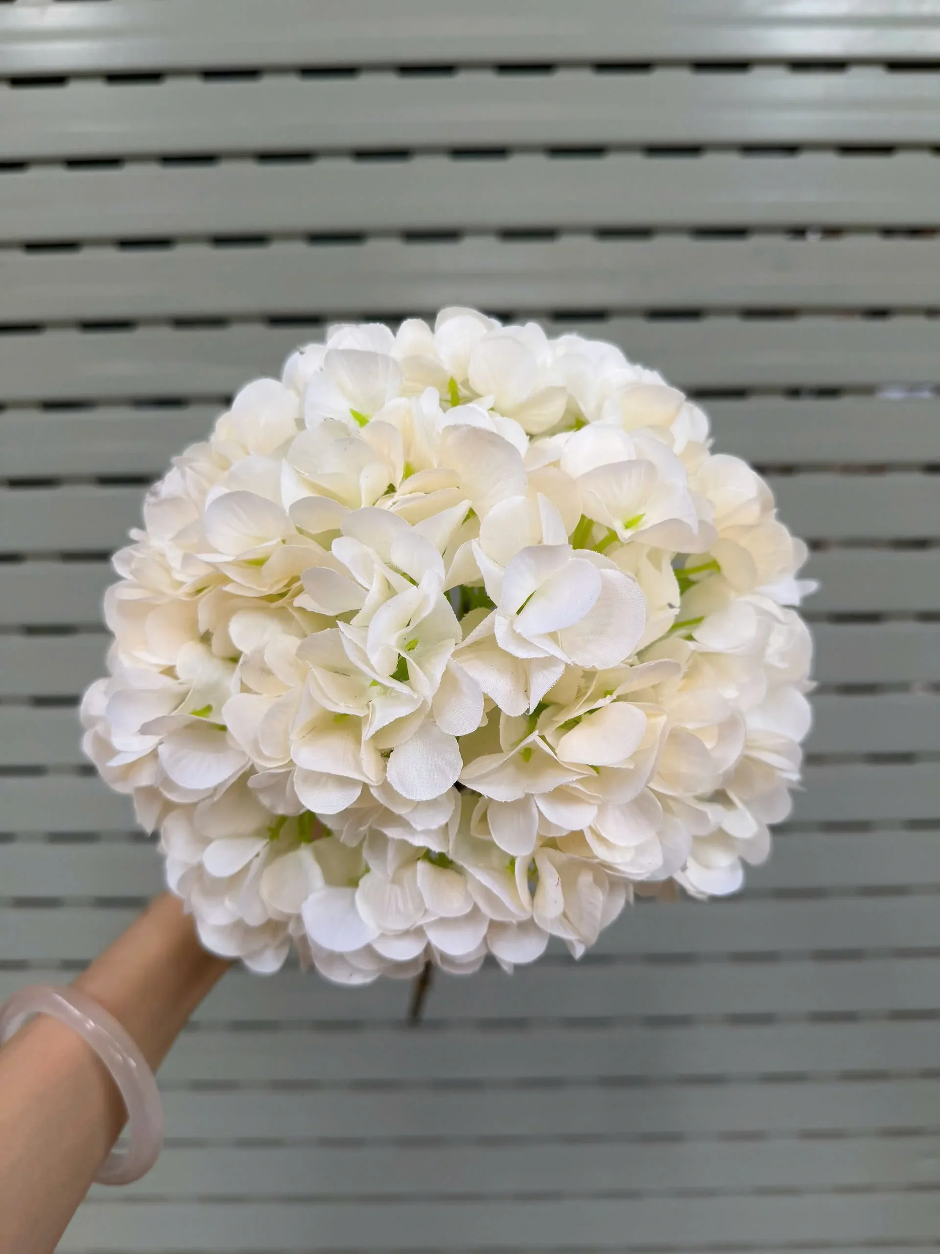 TÚ CẦU ĐẠI 1 BÔNG VN - Ảnh 14