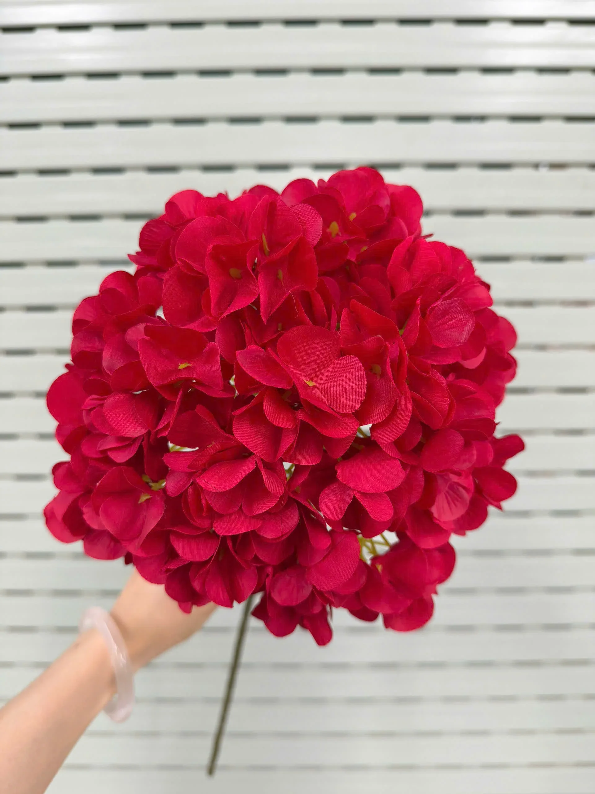TÚ CẦU ĐẠI 1 BÔNG VN - Ảnh 18