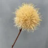 TÚ CẦU GAI
