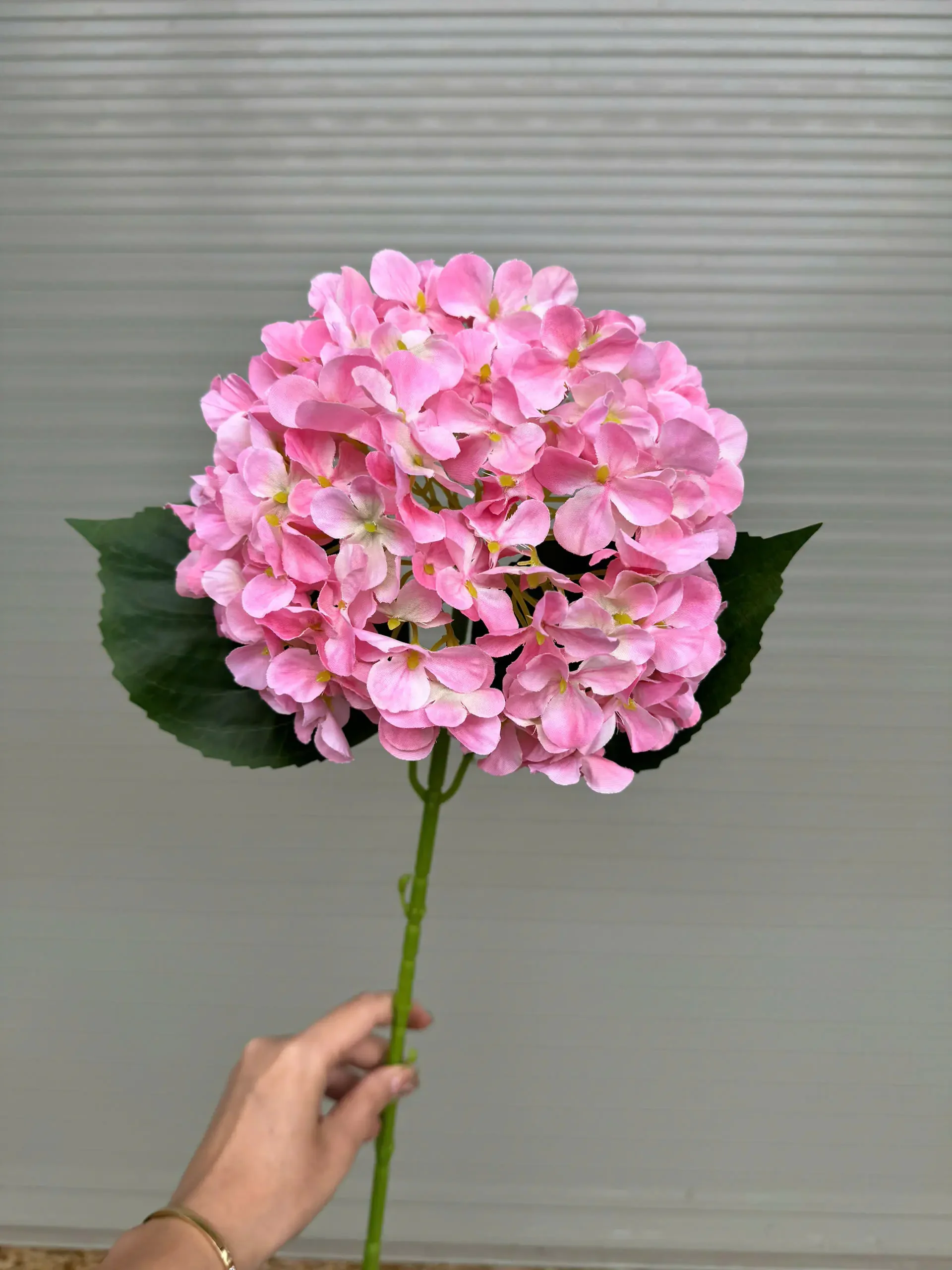 TÚ CẦU IN 3D THÂN XANH - Ảnh 6