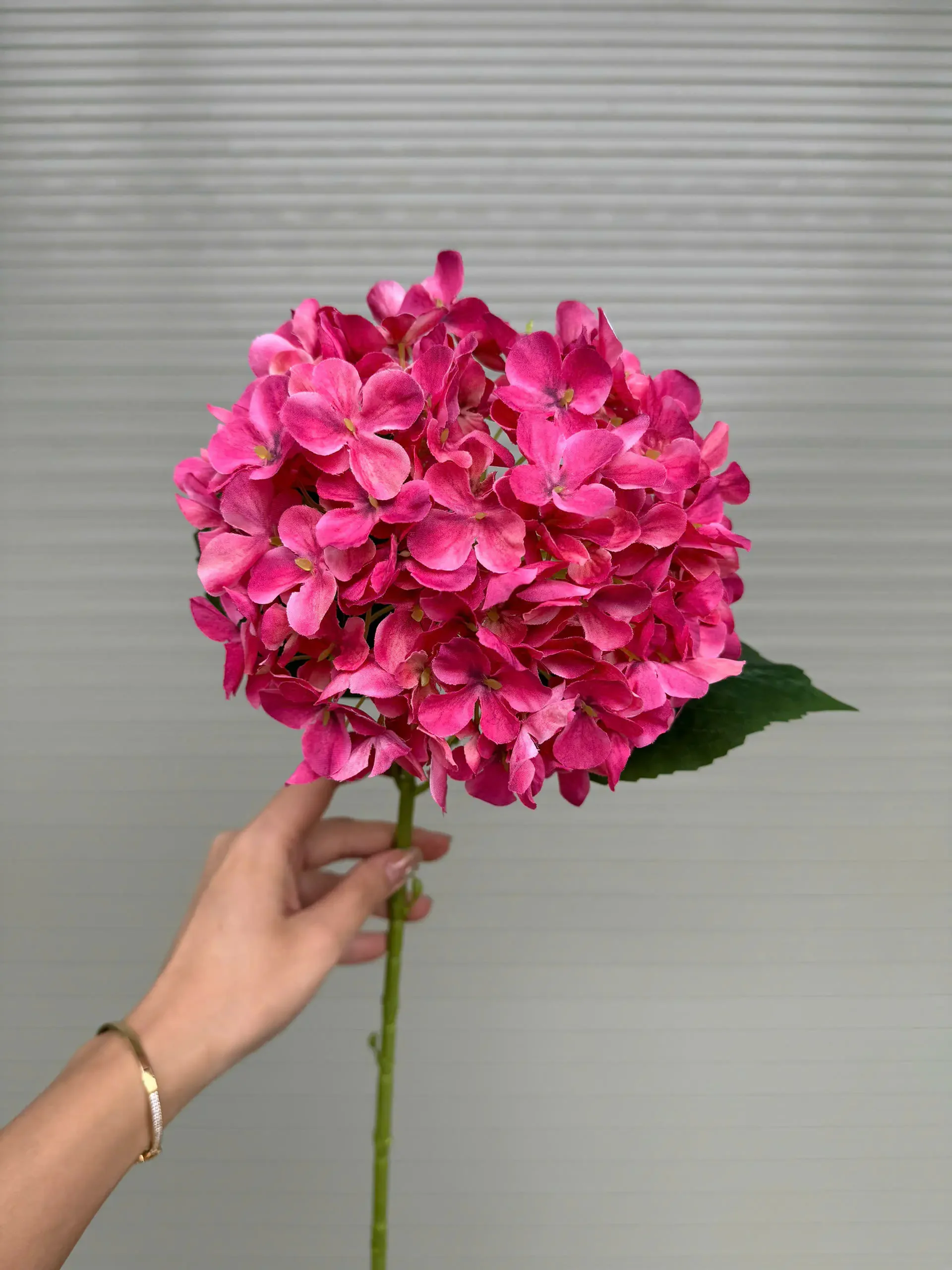 TÚ CẦU IN 3D THÂN XANH - Ảnh 9