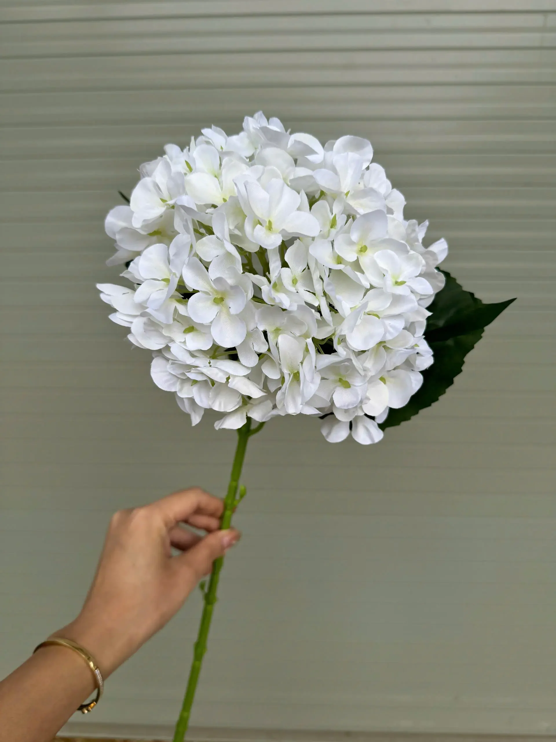 TÚ CẦU IN 3D THÂN XANH - Ảnh 2