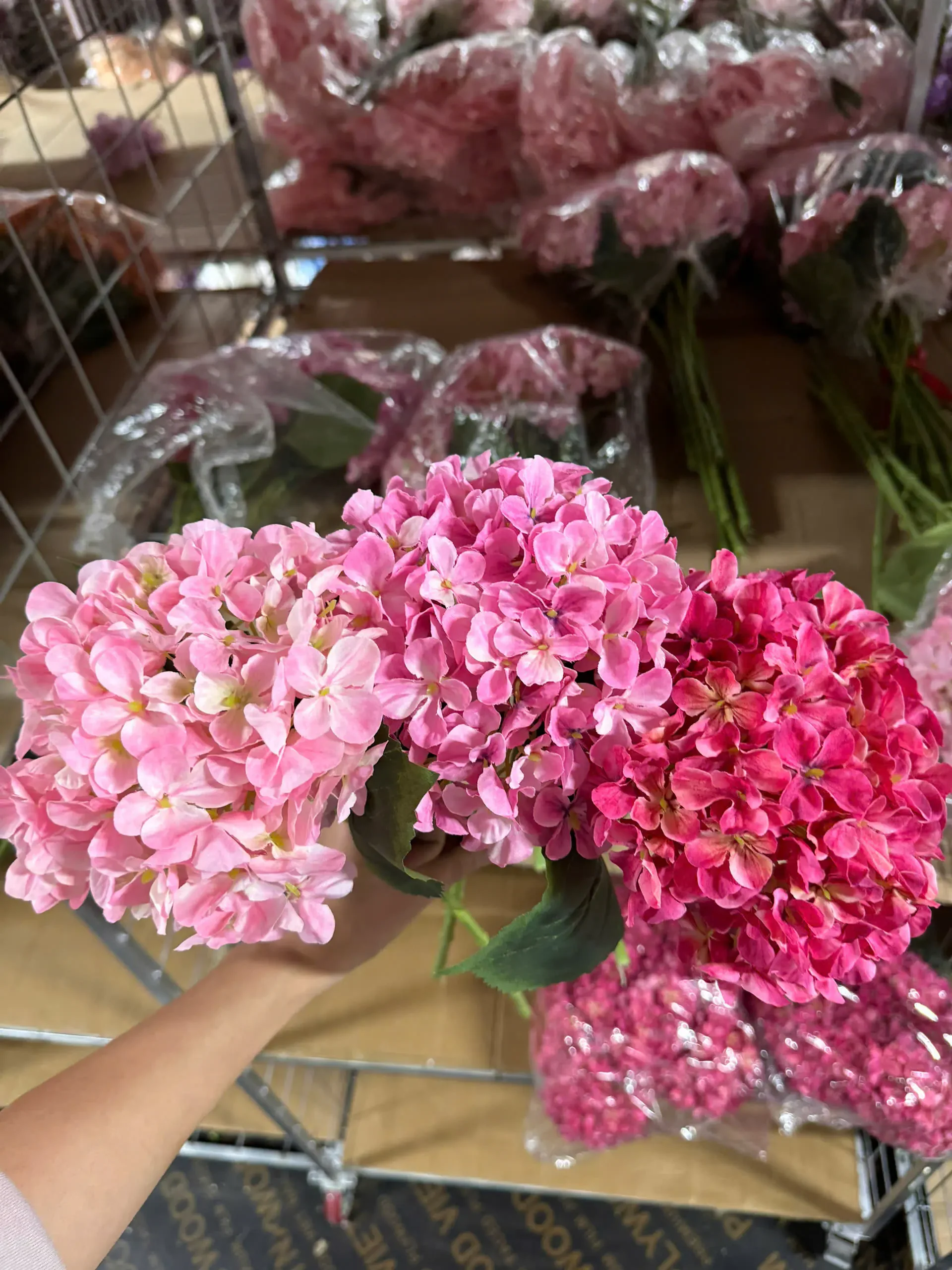 TÚ CẦU IN 3D THÂN XANH - Ảnh 14