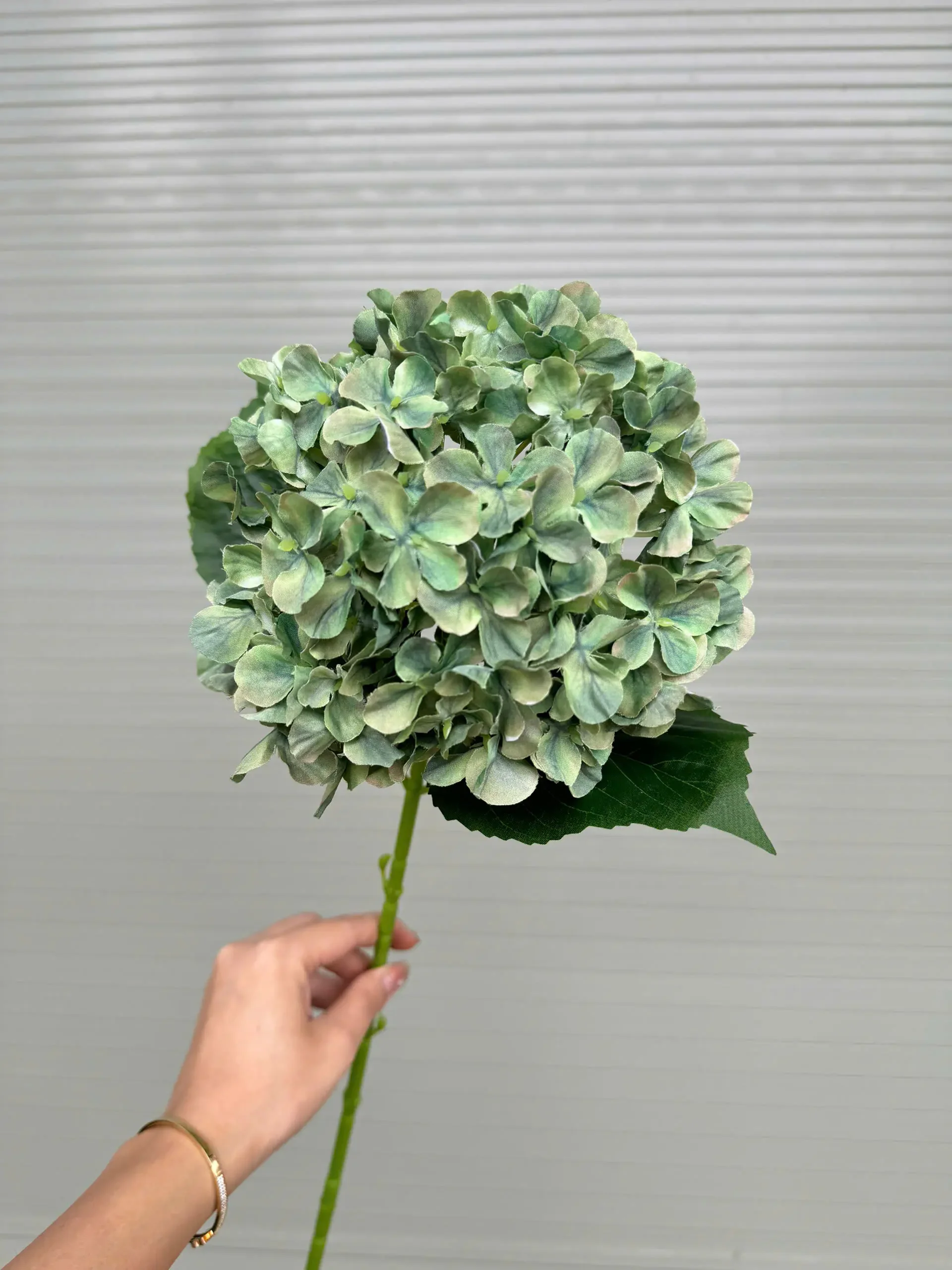 TÚ CẦU IN 3D THÂN XANH - Ảnh 15