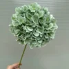 TÚ CẦU KHÔ