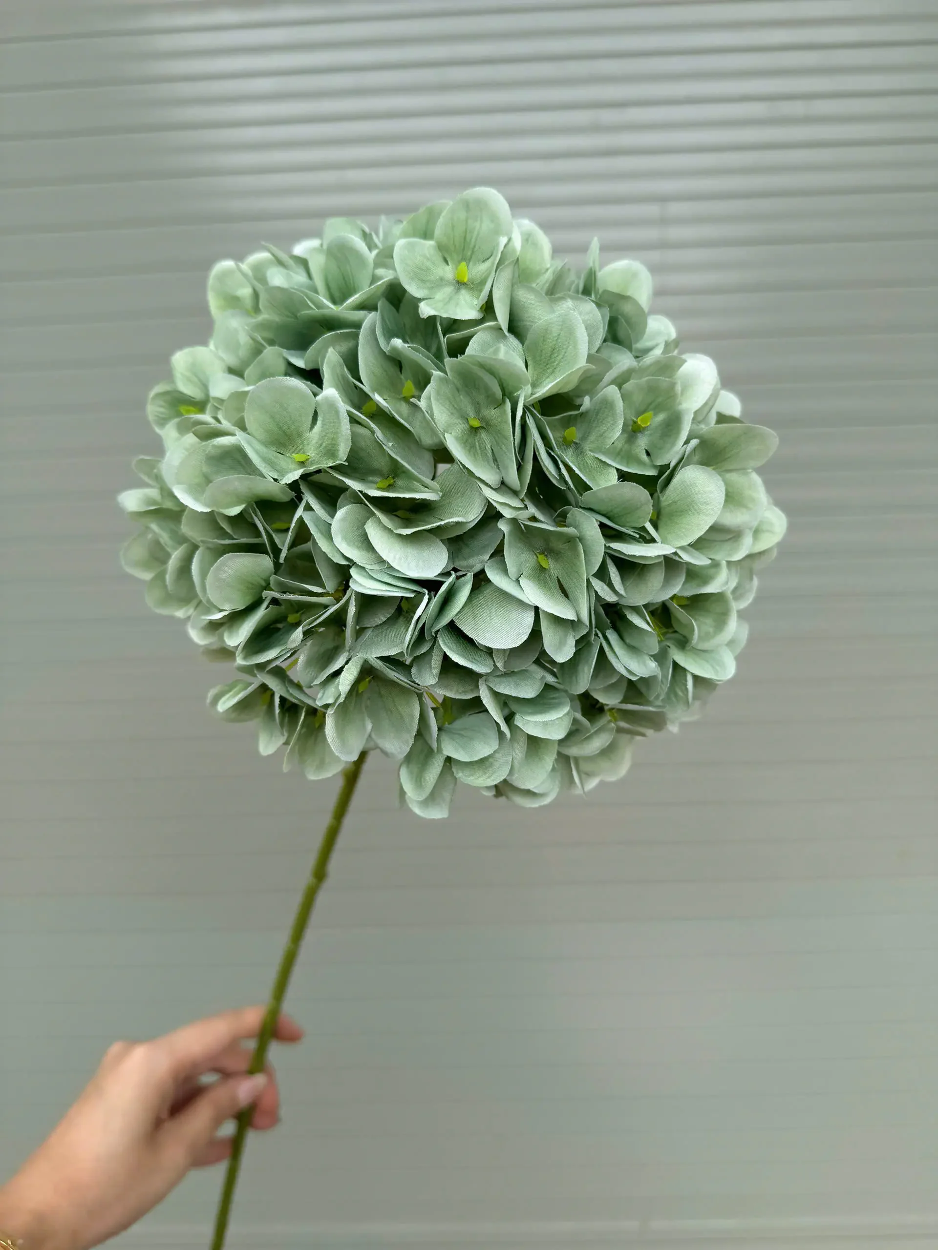 TÚ CẦU KHÔ